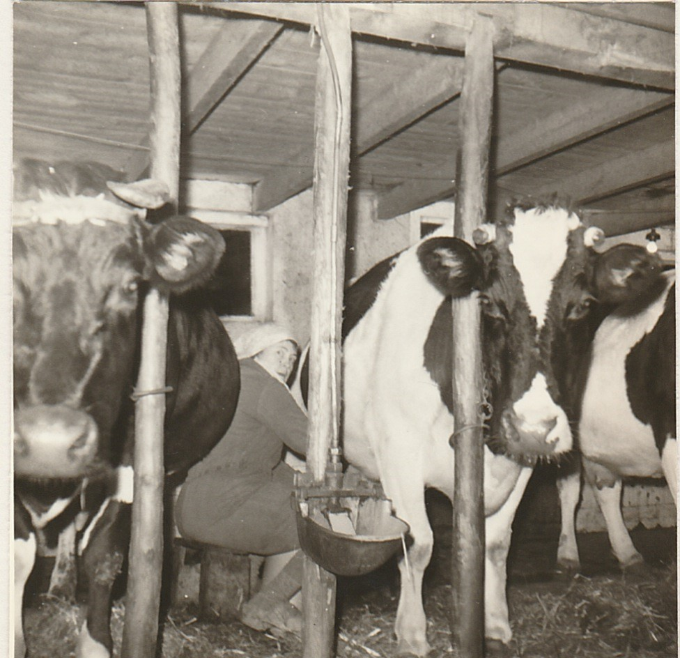 user avatar image for Jazzman