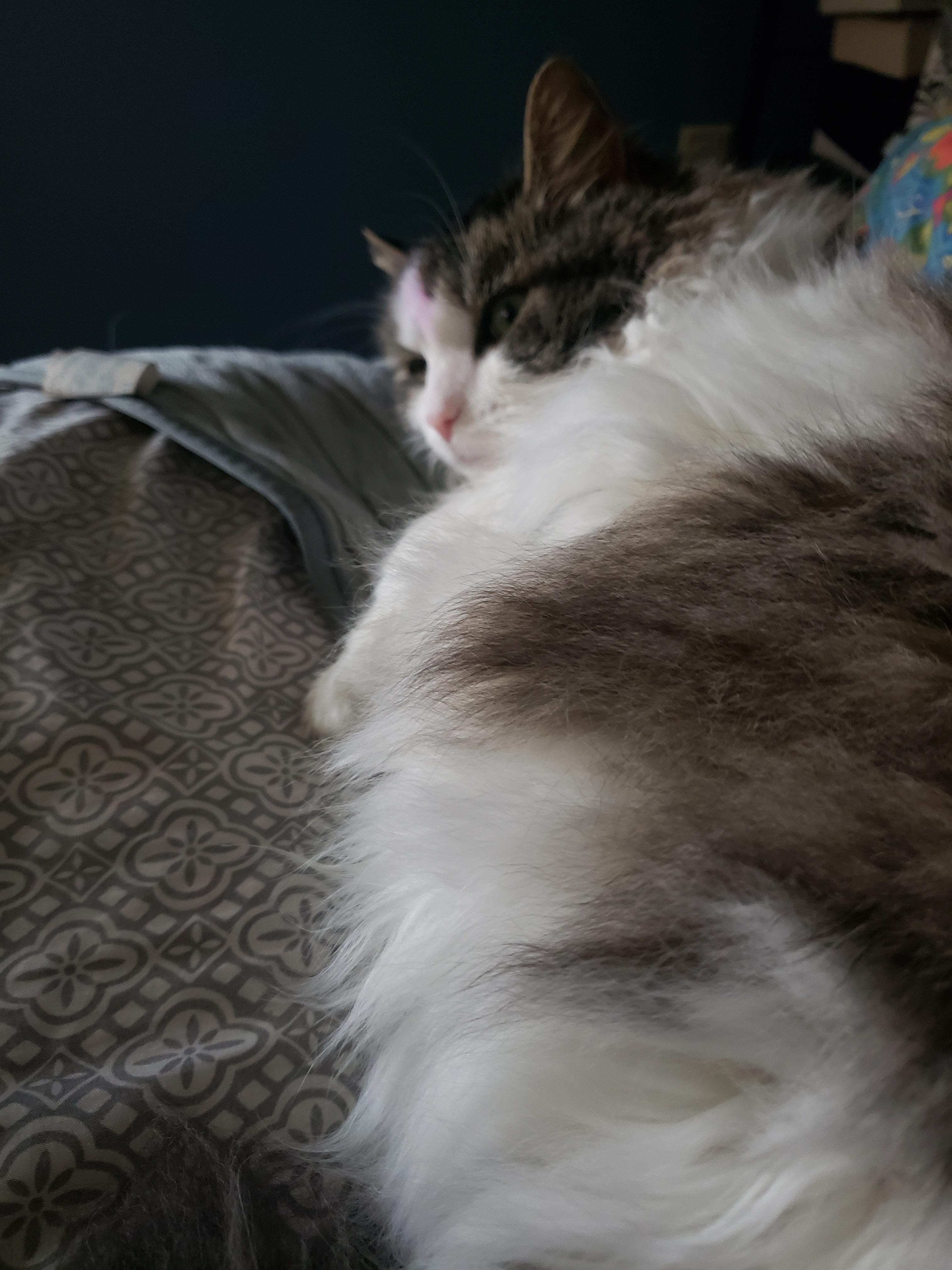 user avatar image for Evan