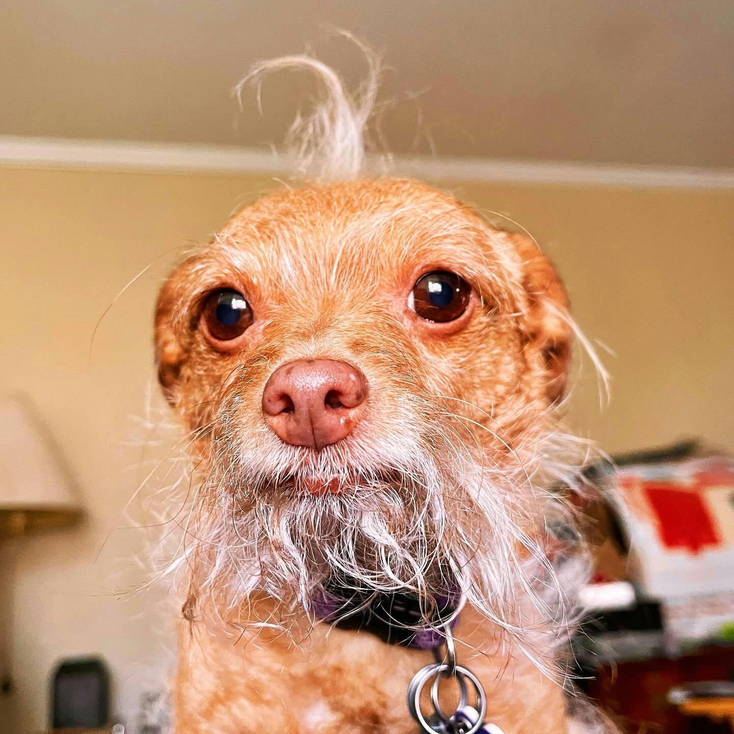 user avatar image for TheHippyWitch