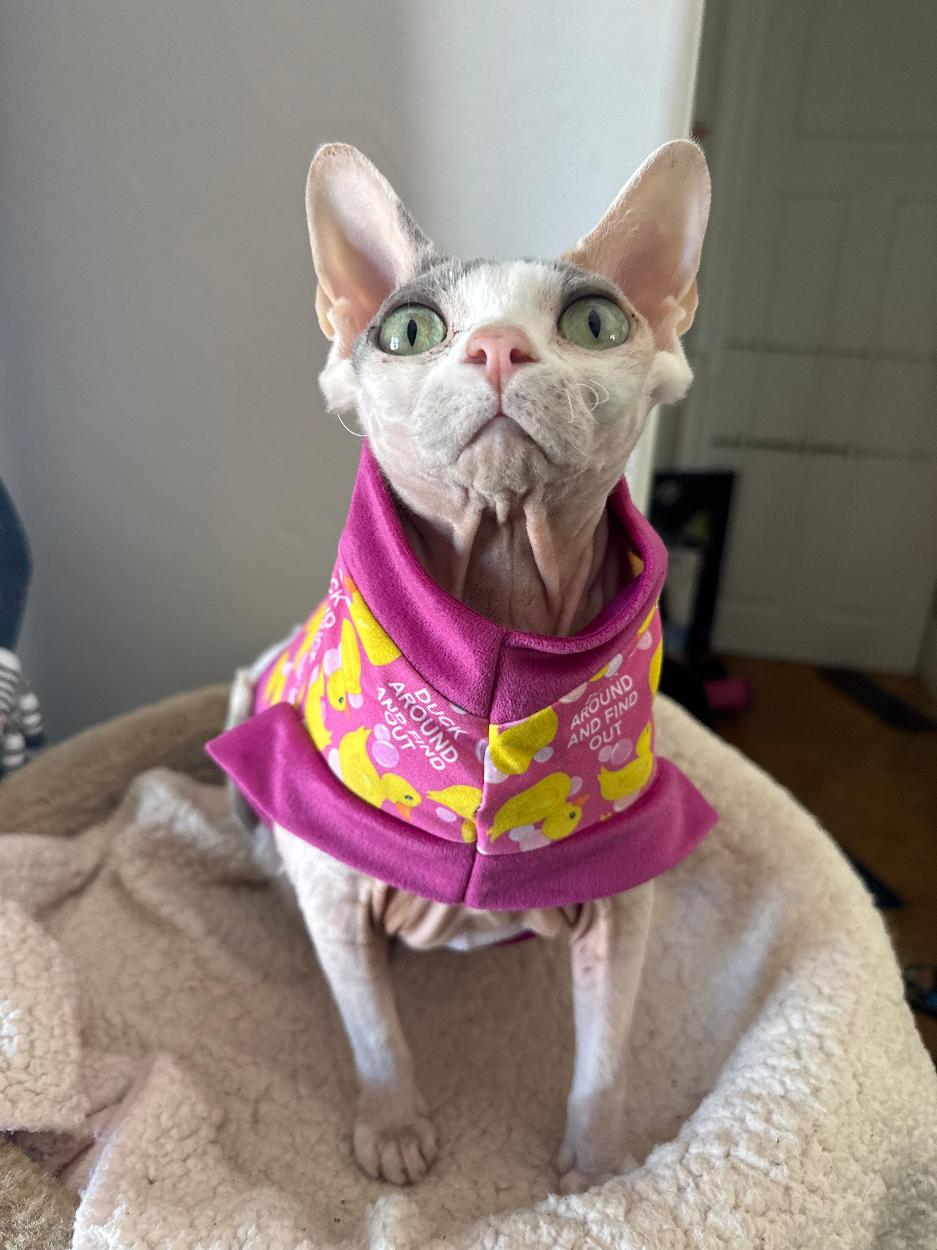 user avatar image for Jenni