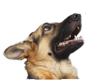 user avatar image for Vedmin