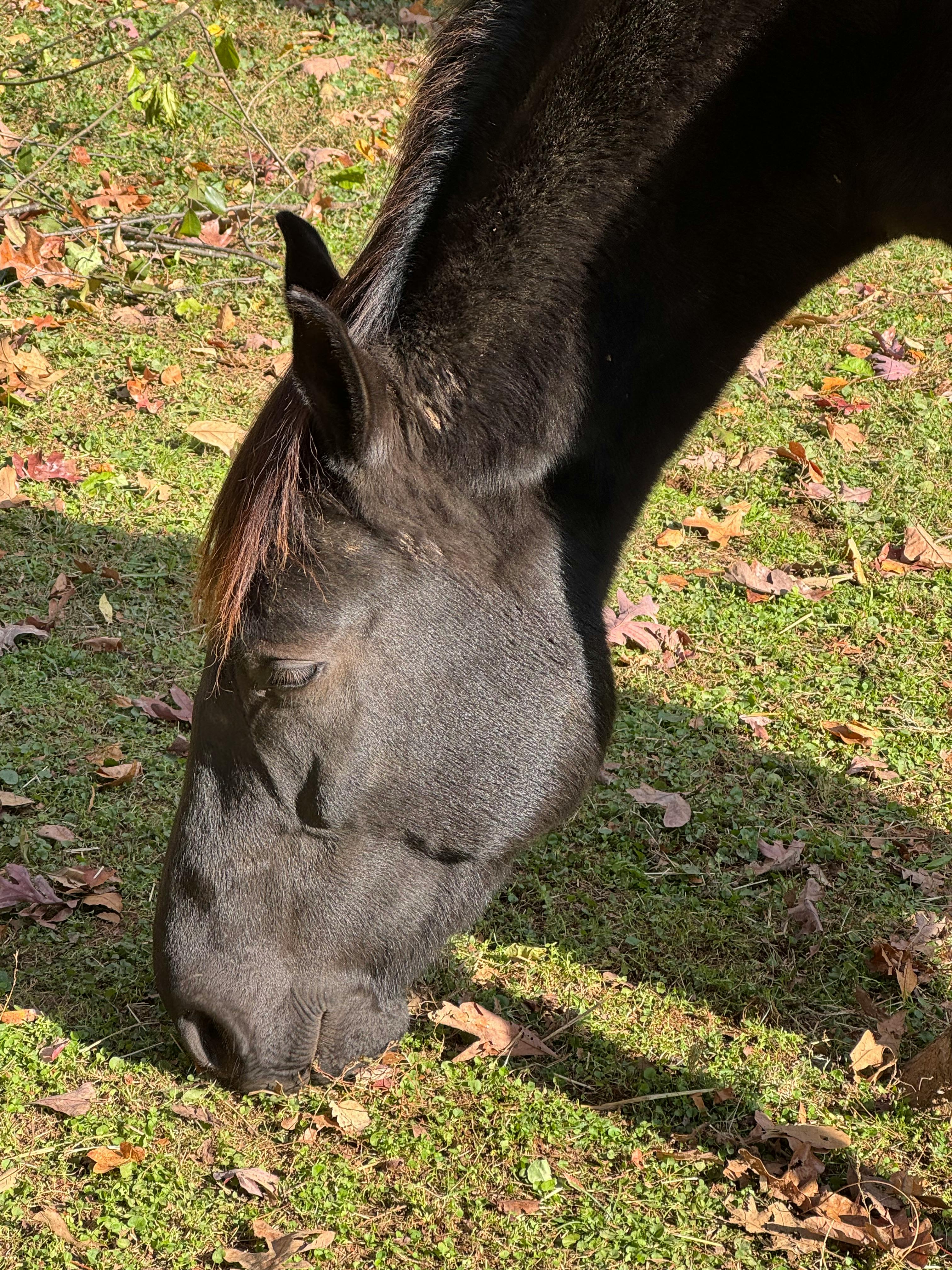 user avatar image for Serena Roginsky