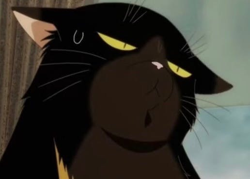 user avatar image for searchingTrees