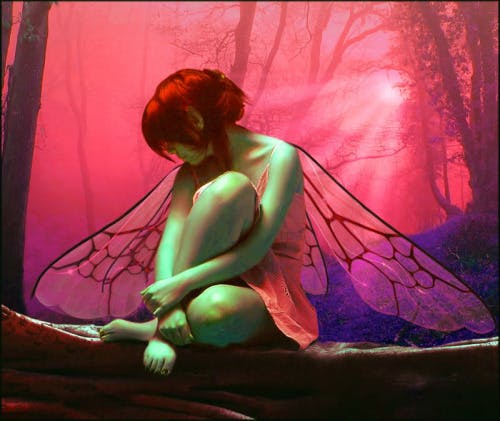 user avatar image for Faeiry