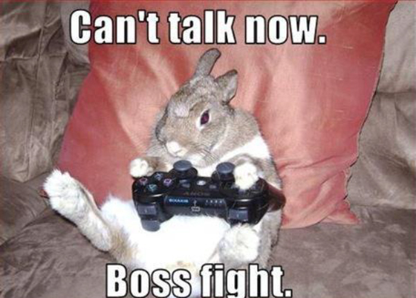 user avatar image for M P