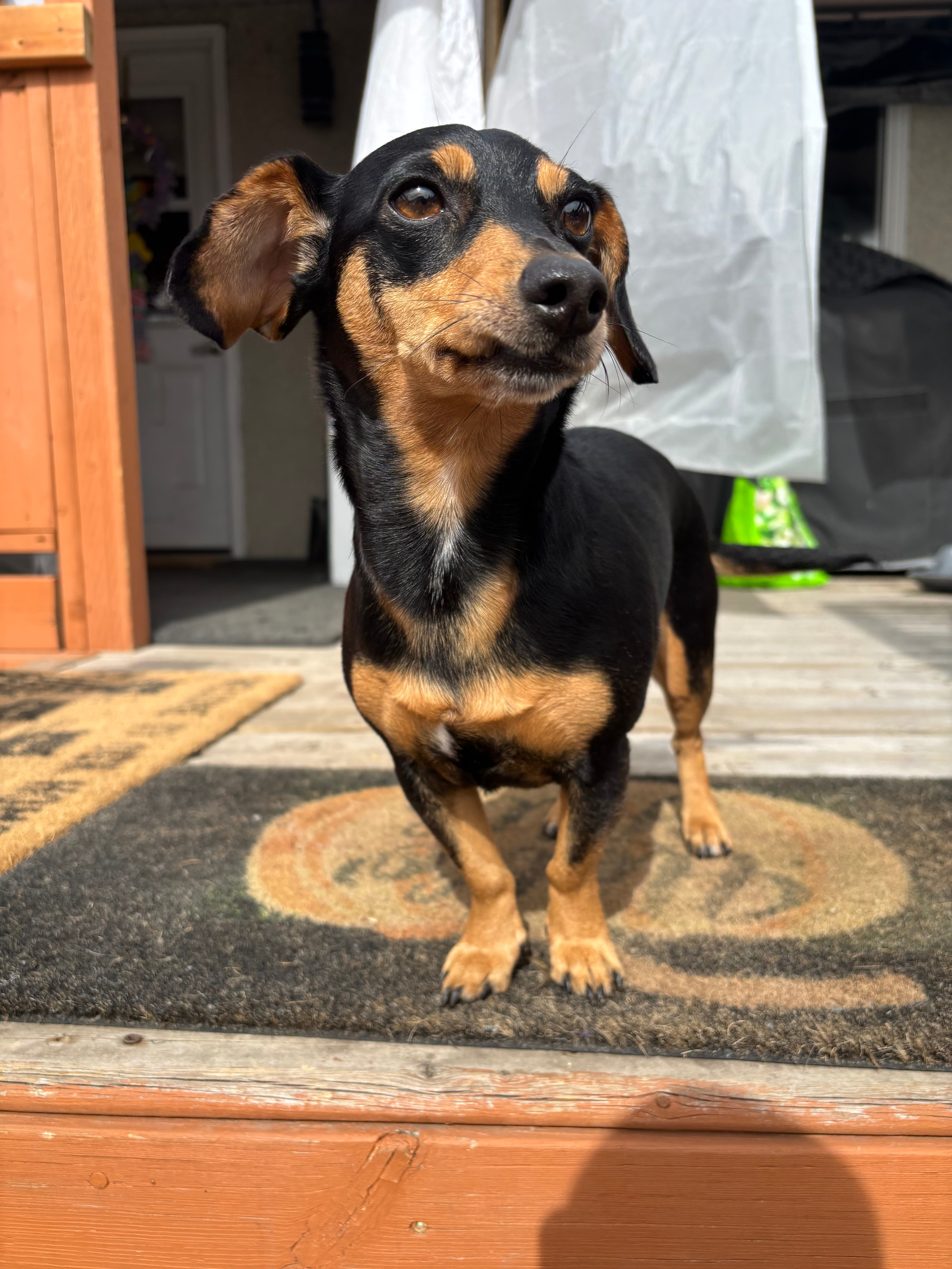 user avatar image for BrankyKong