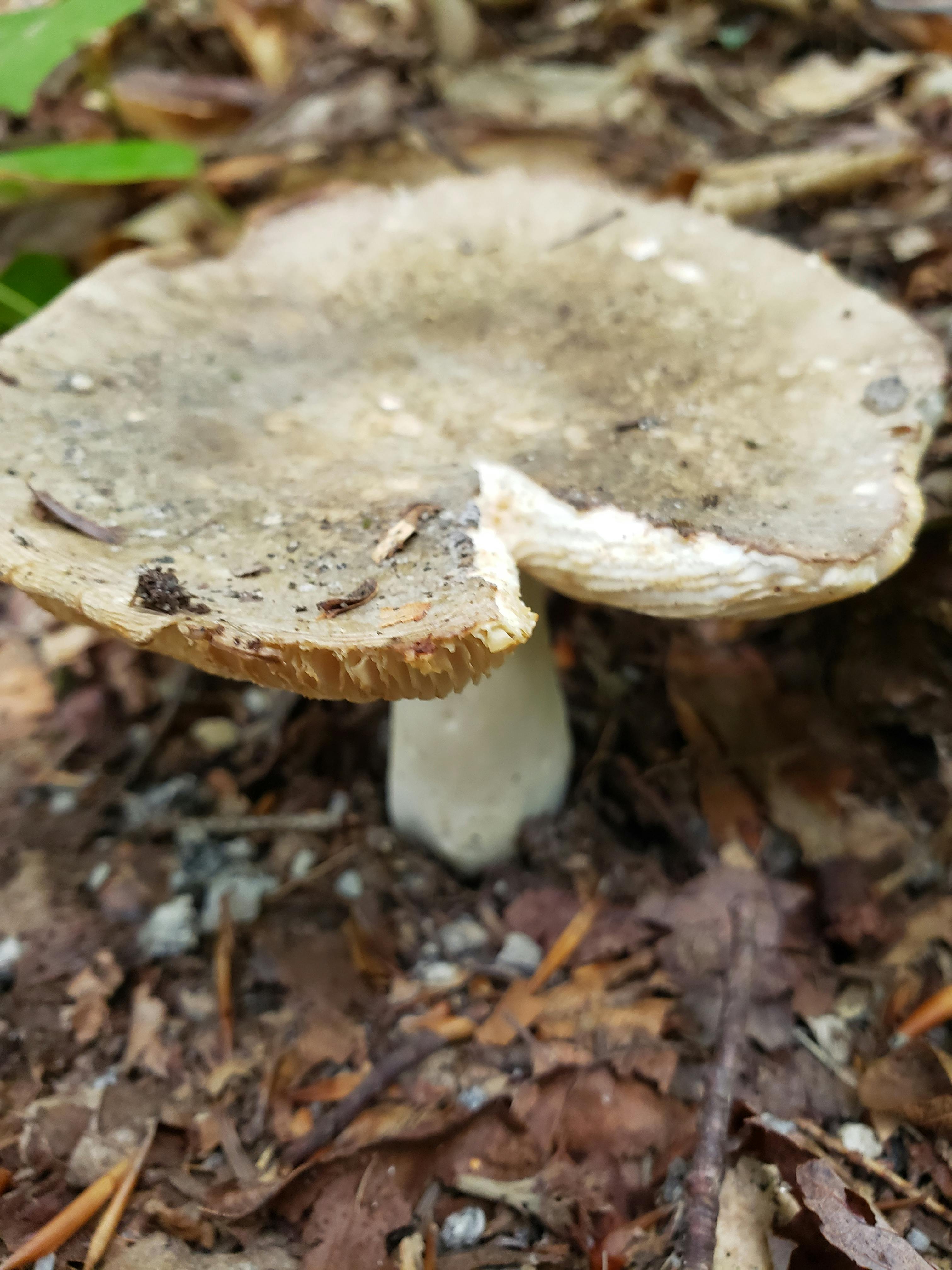 user avatar image for Sam Brillhart