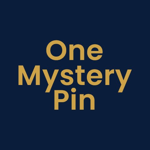 One Mystery Pin