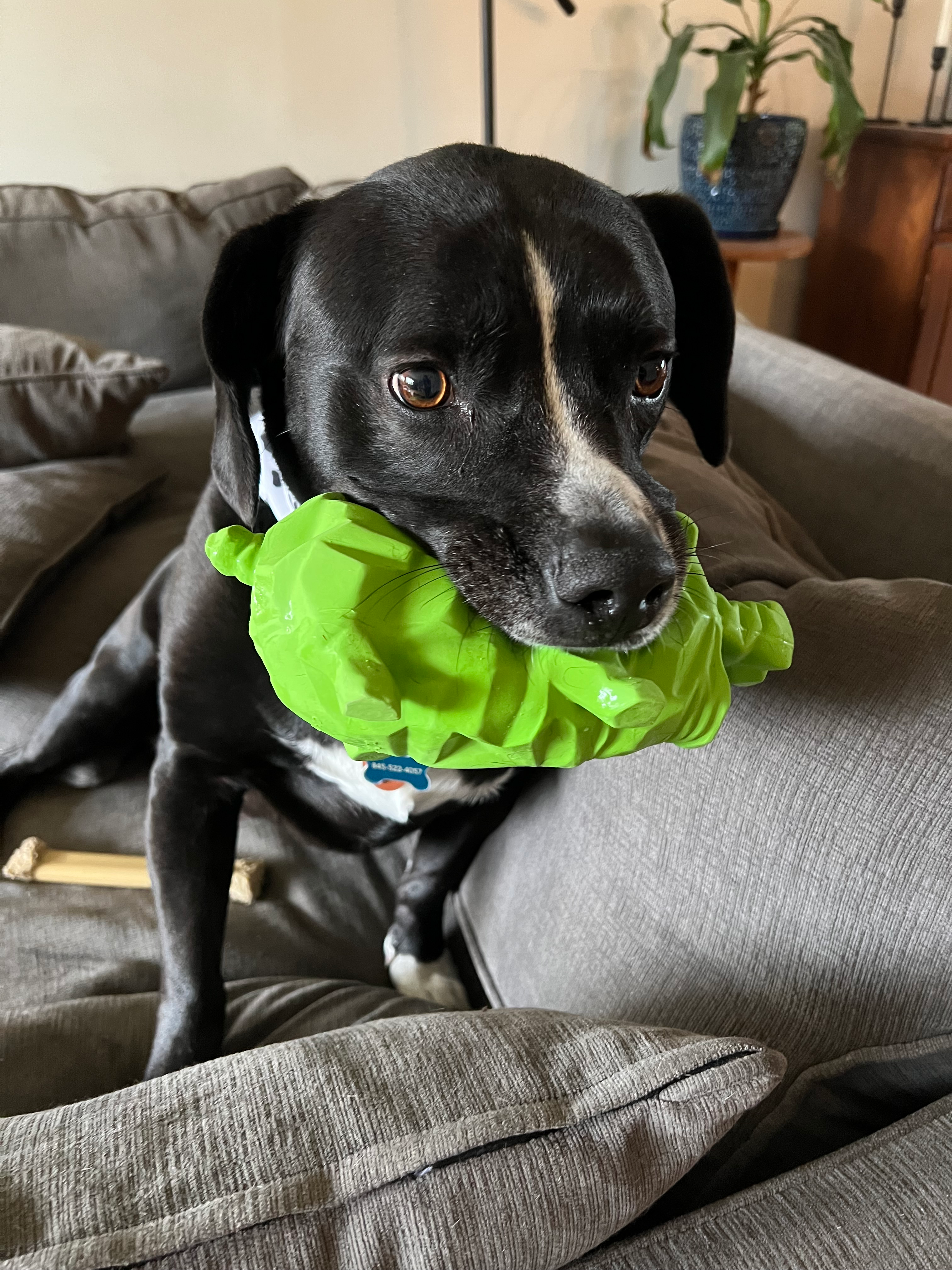 user avatar image for Emily