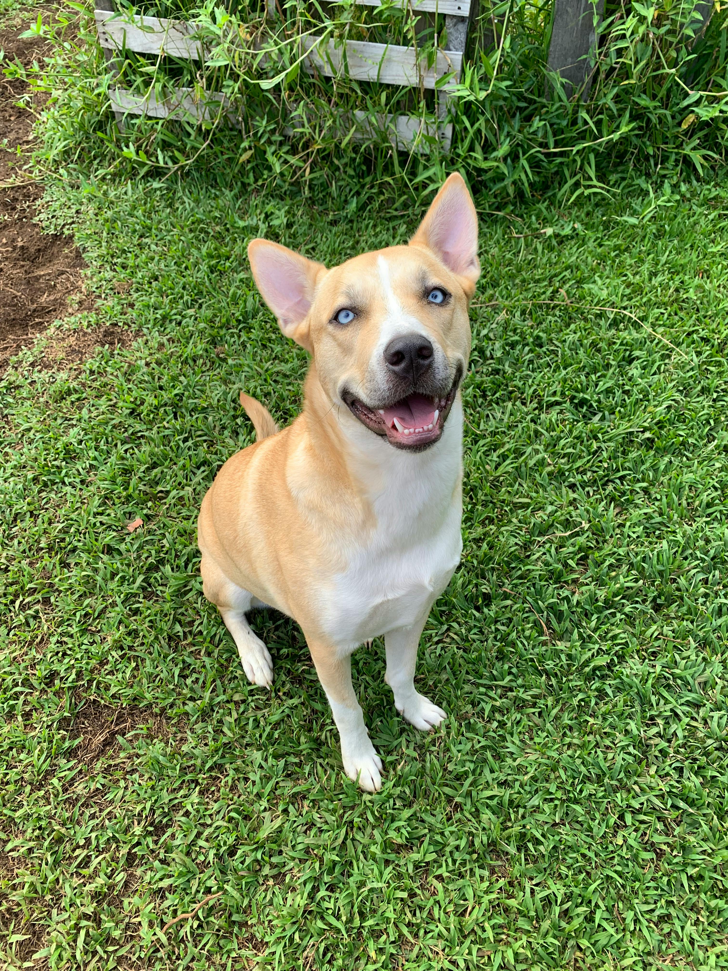 user avatar image for Stephanie