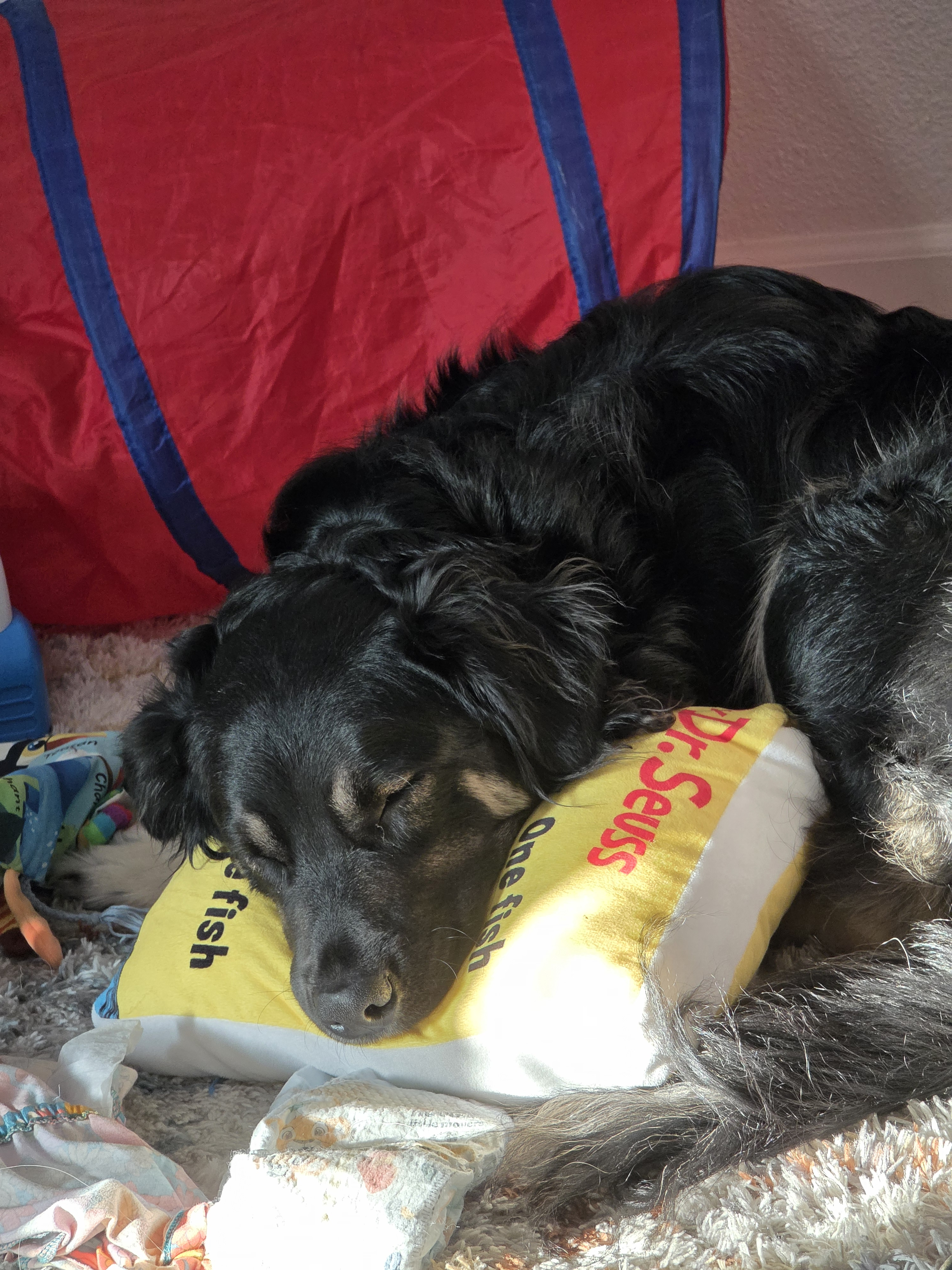 user avatar image for Nicholas