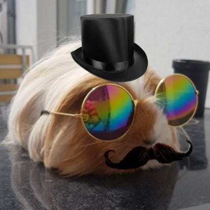 user avatar image for Geeky Decorum