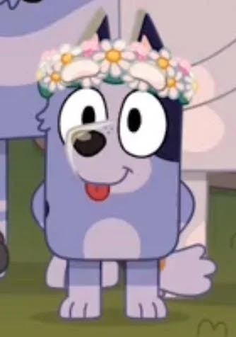 user avatar image for Alex