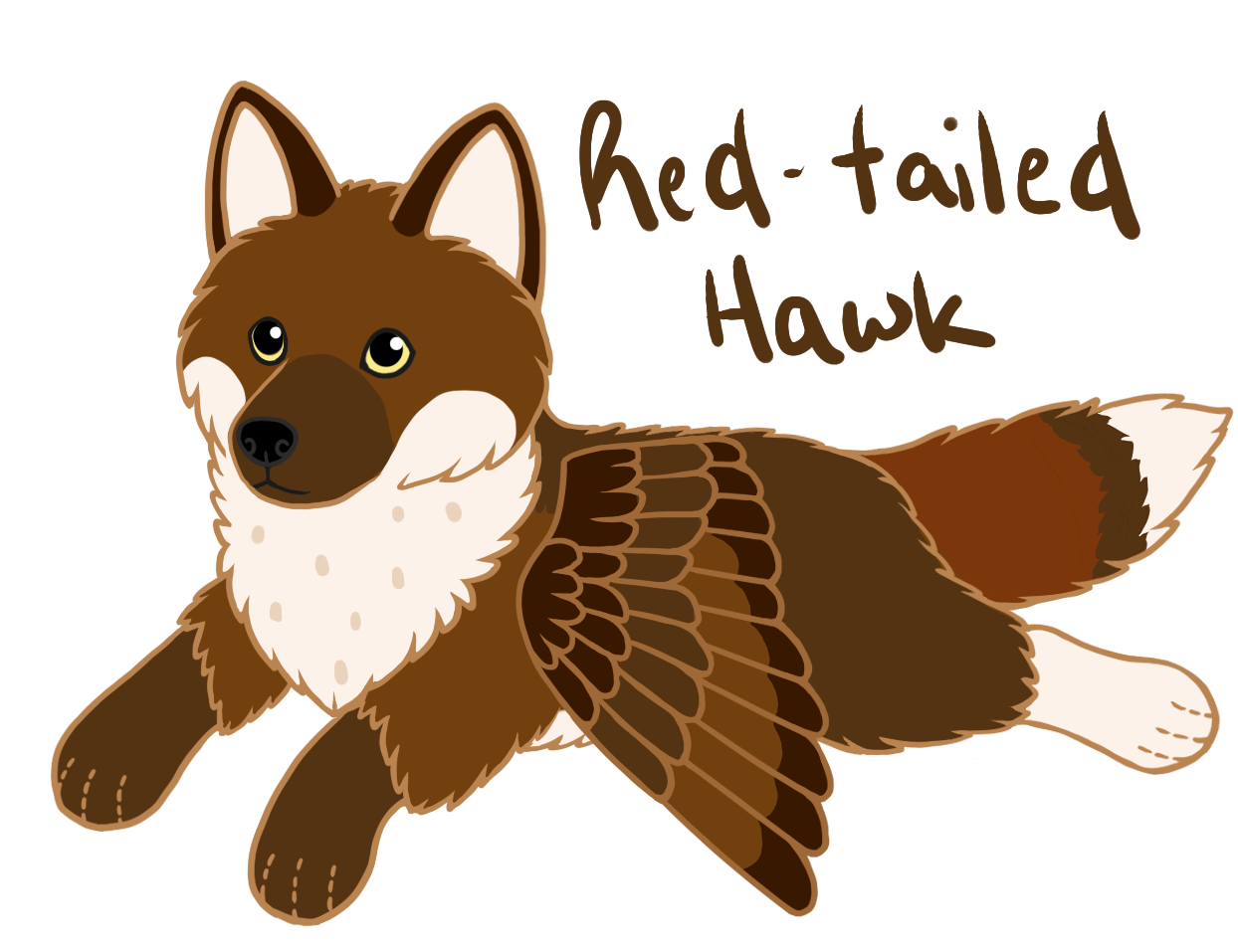 Red tailed hawk