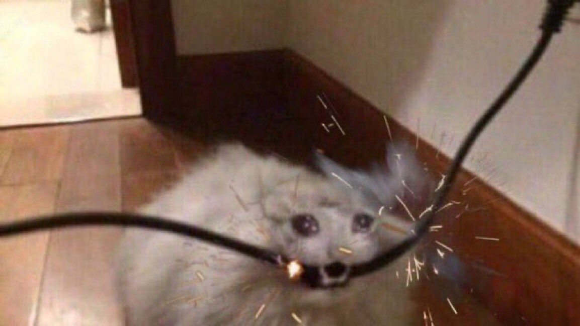 user avatar image for Cassidy