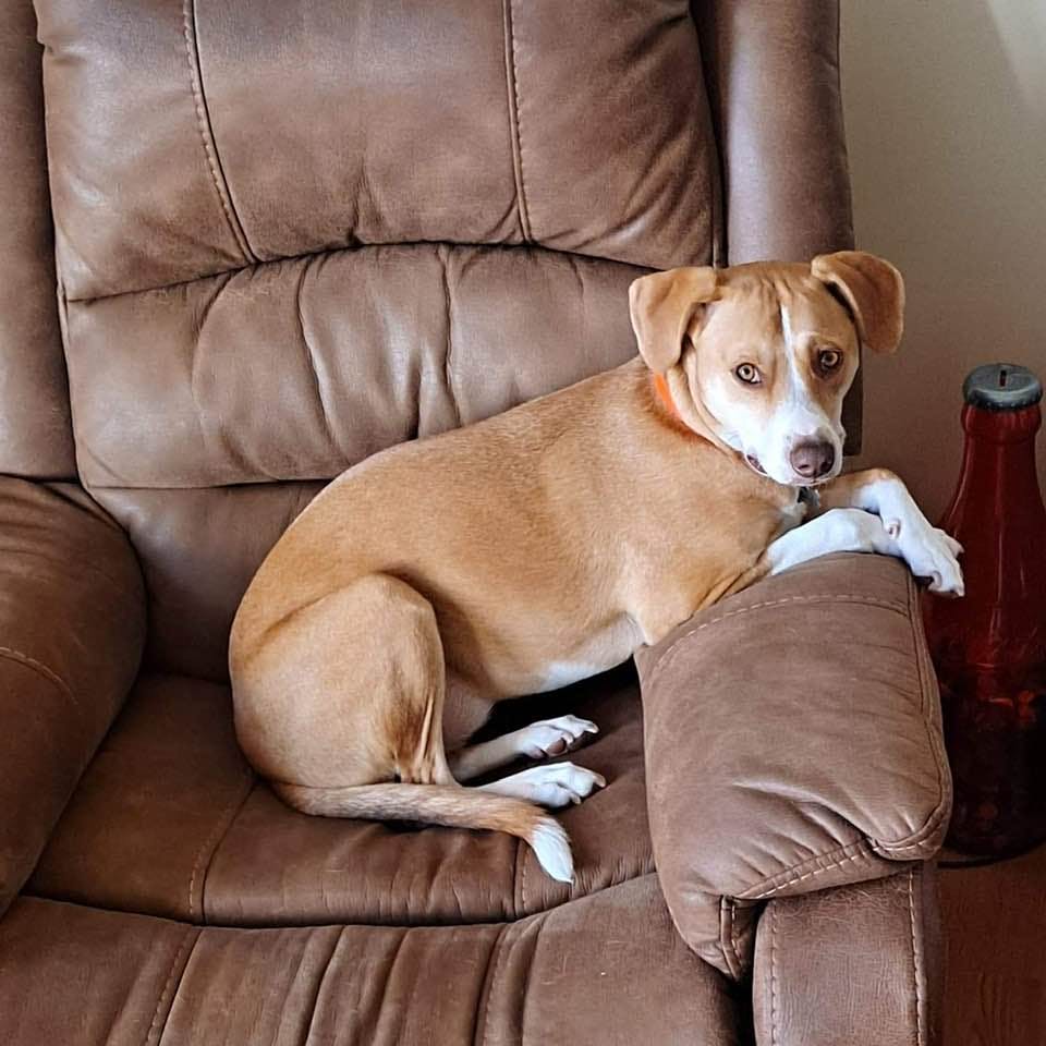 user avatar image for Elwyndre