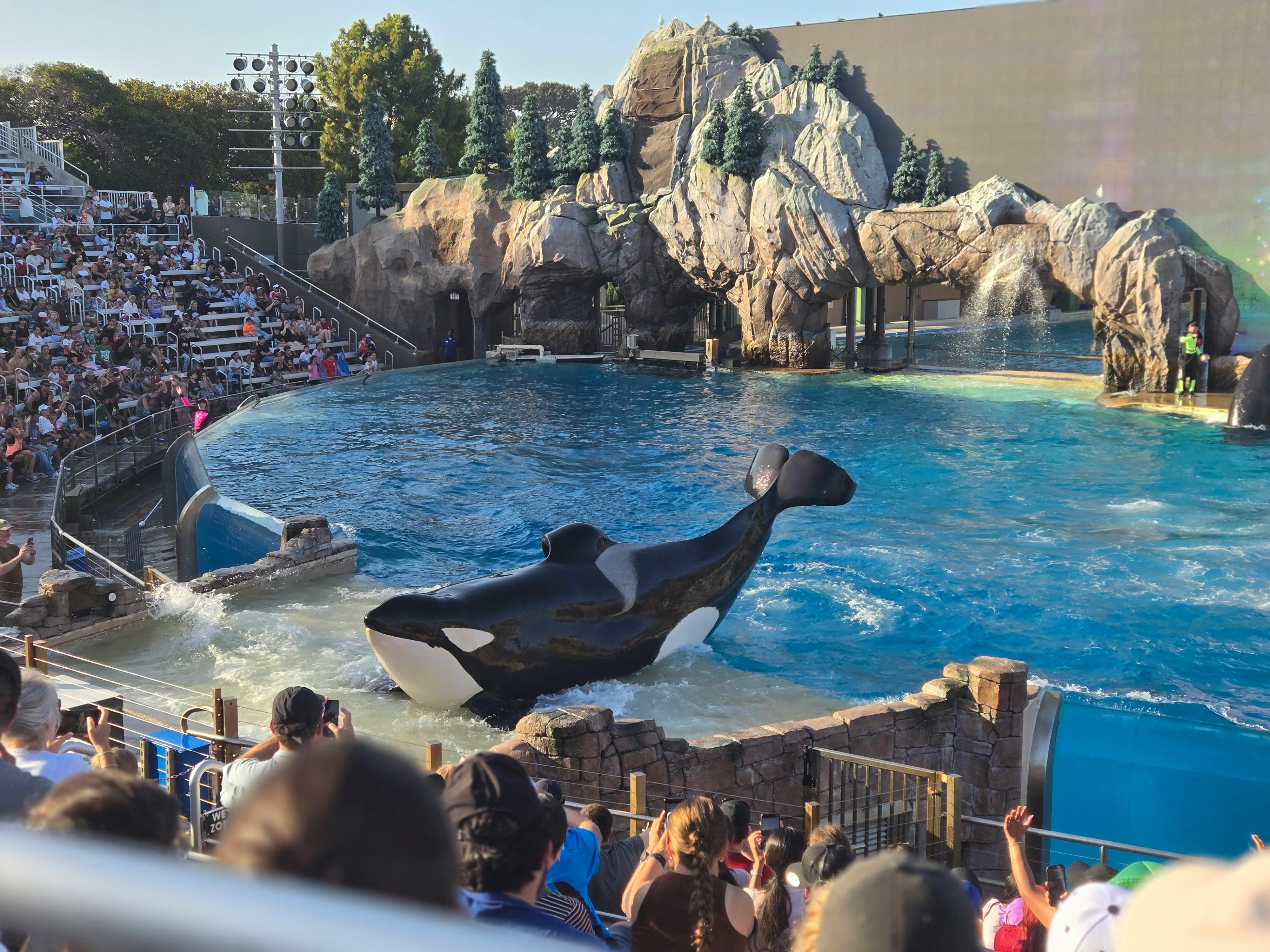 user avatar image for Laurie Rex