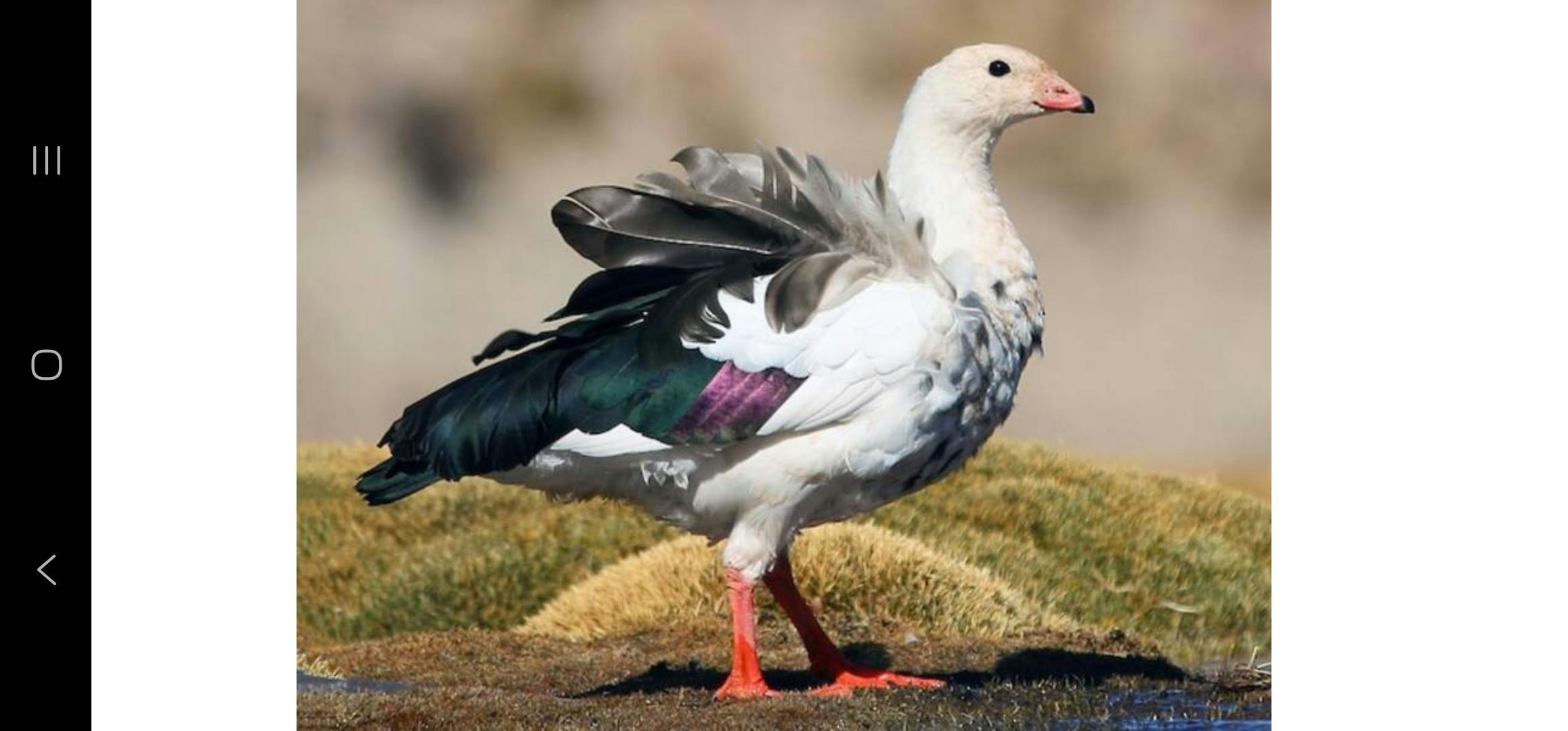 user avatar image for Kit