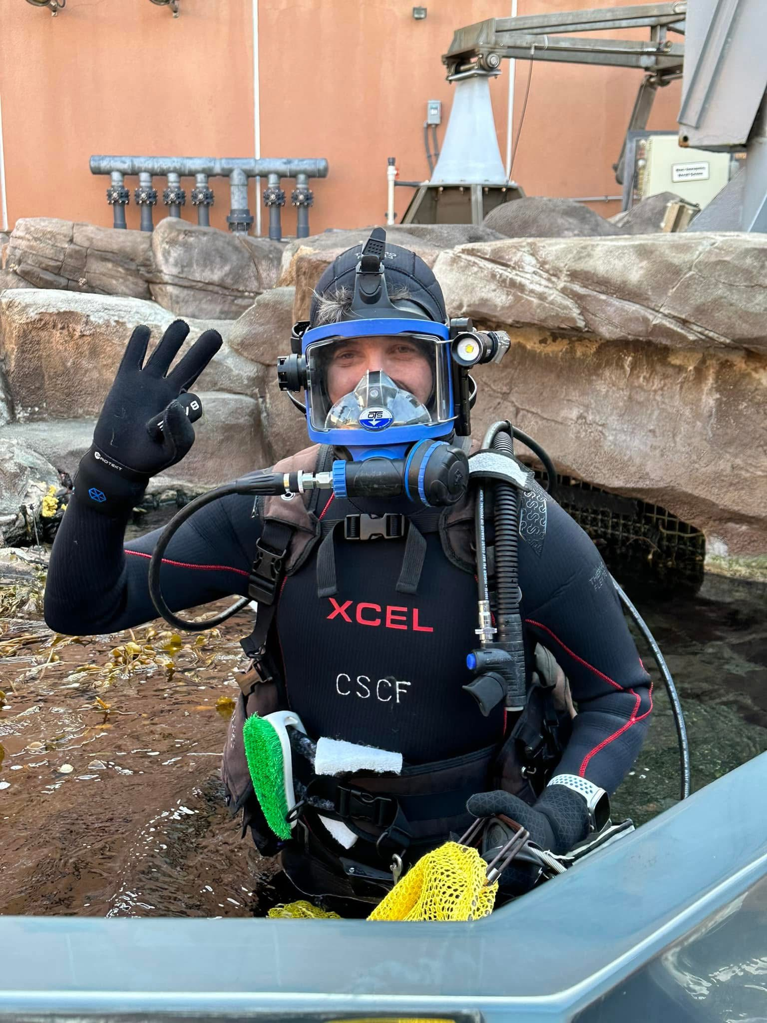 user avatar image for diversaml