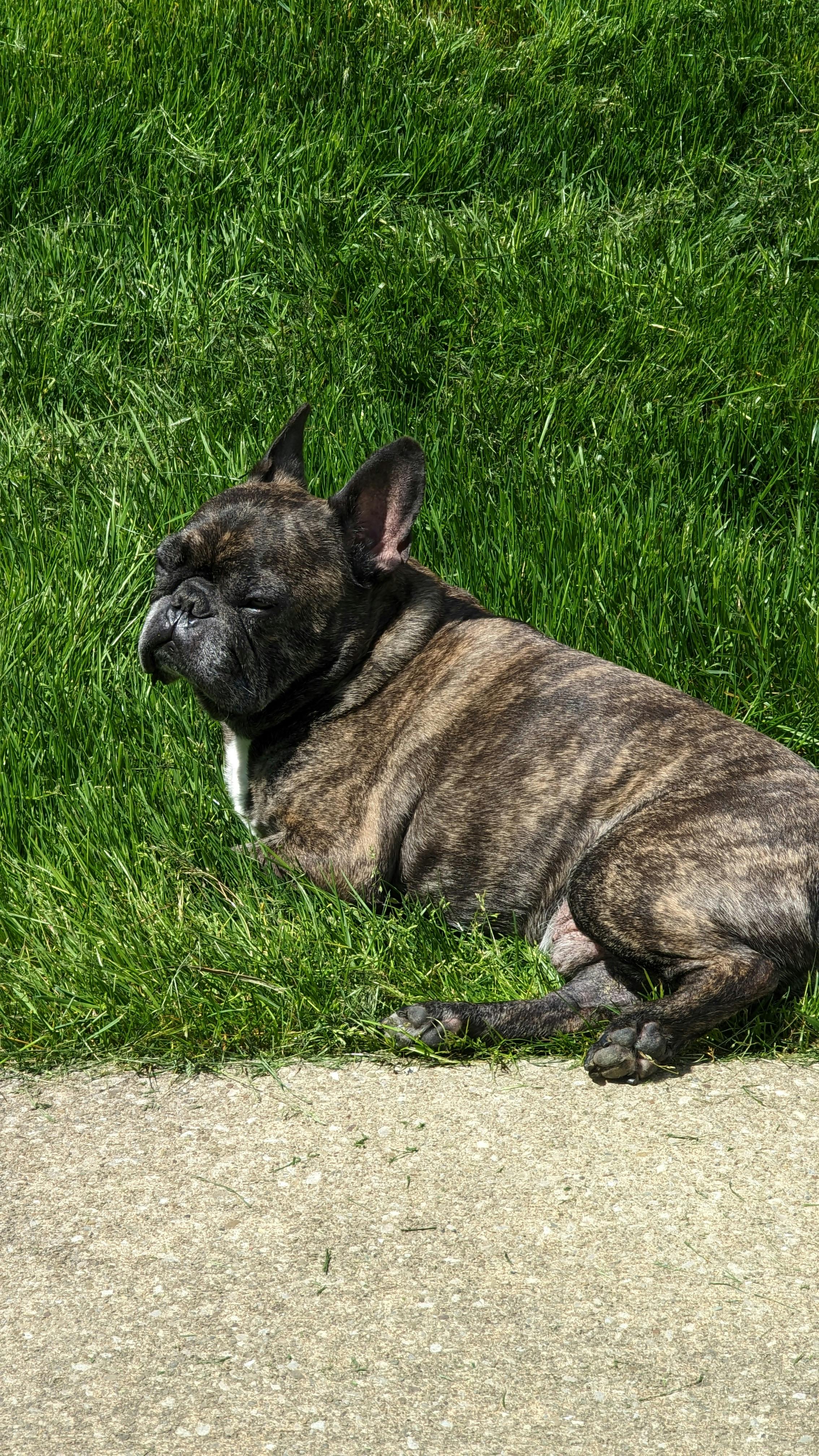 user avatar image for JustDirt