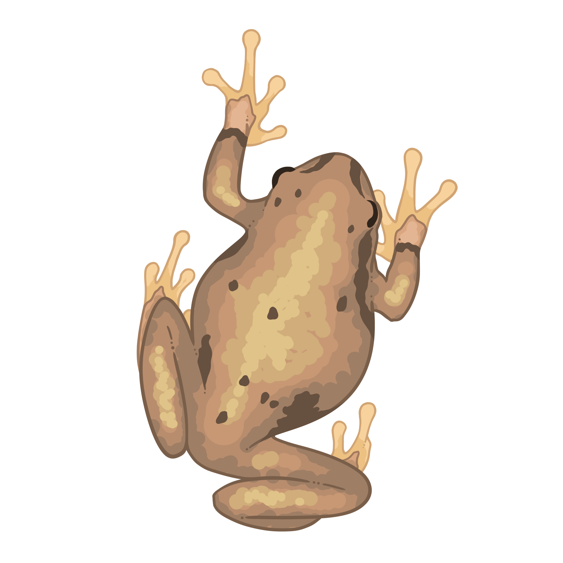 Mystery Sticker Pack