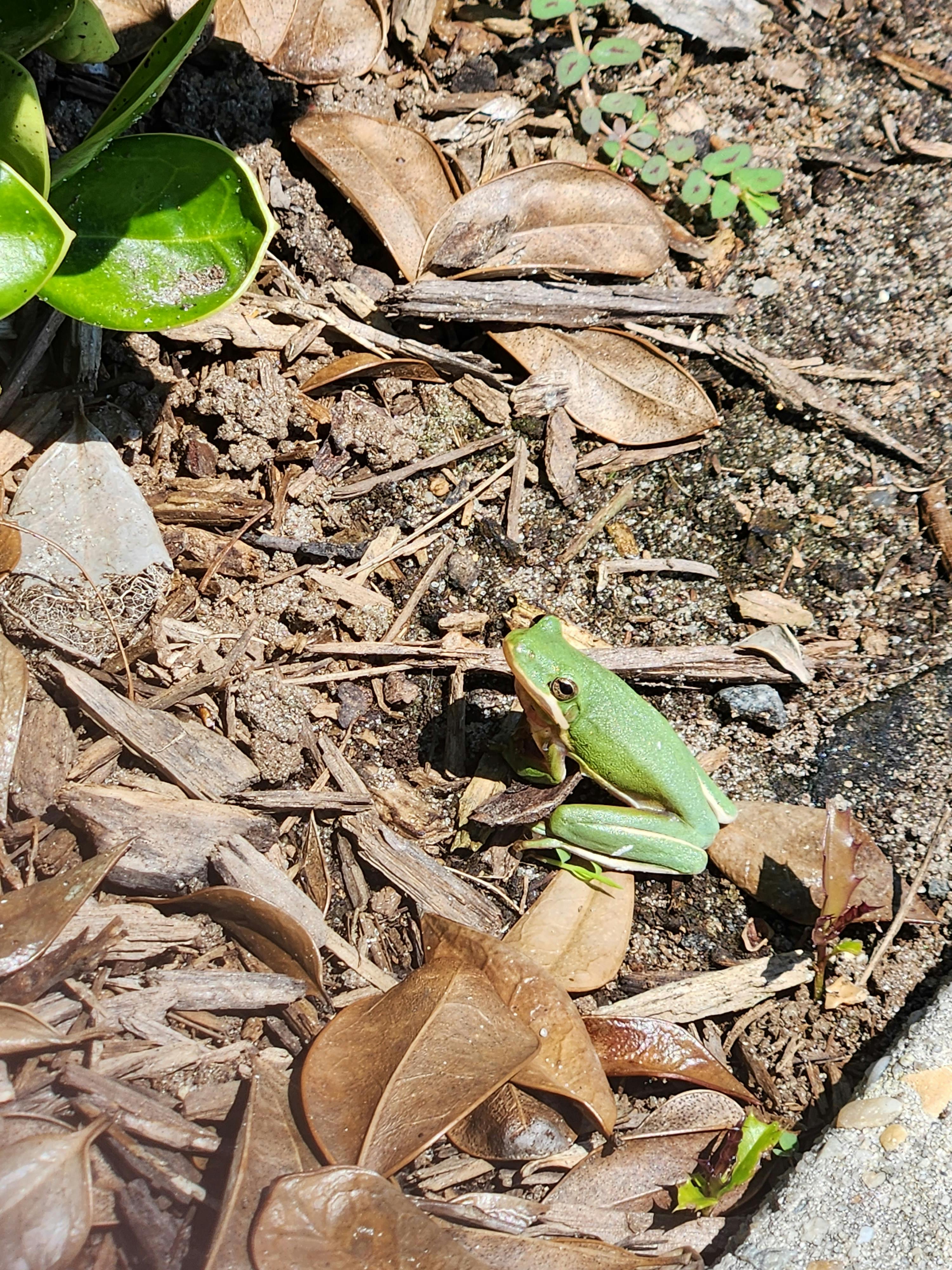 user avatar image for Karyn