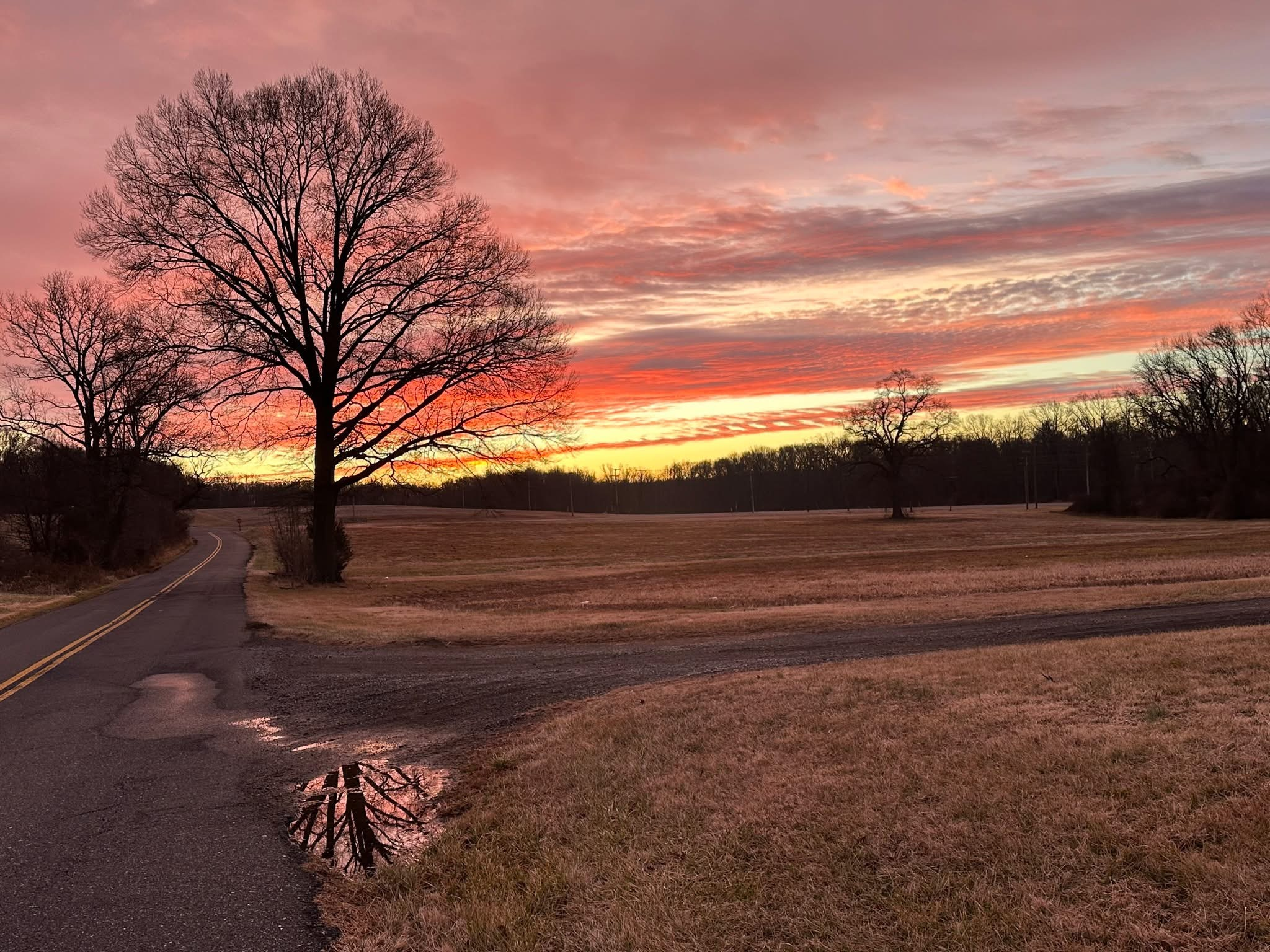 user avatar image for Ed S.