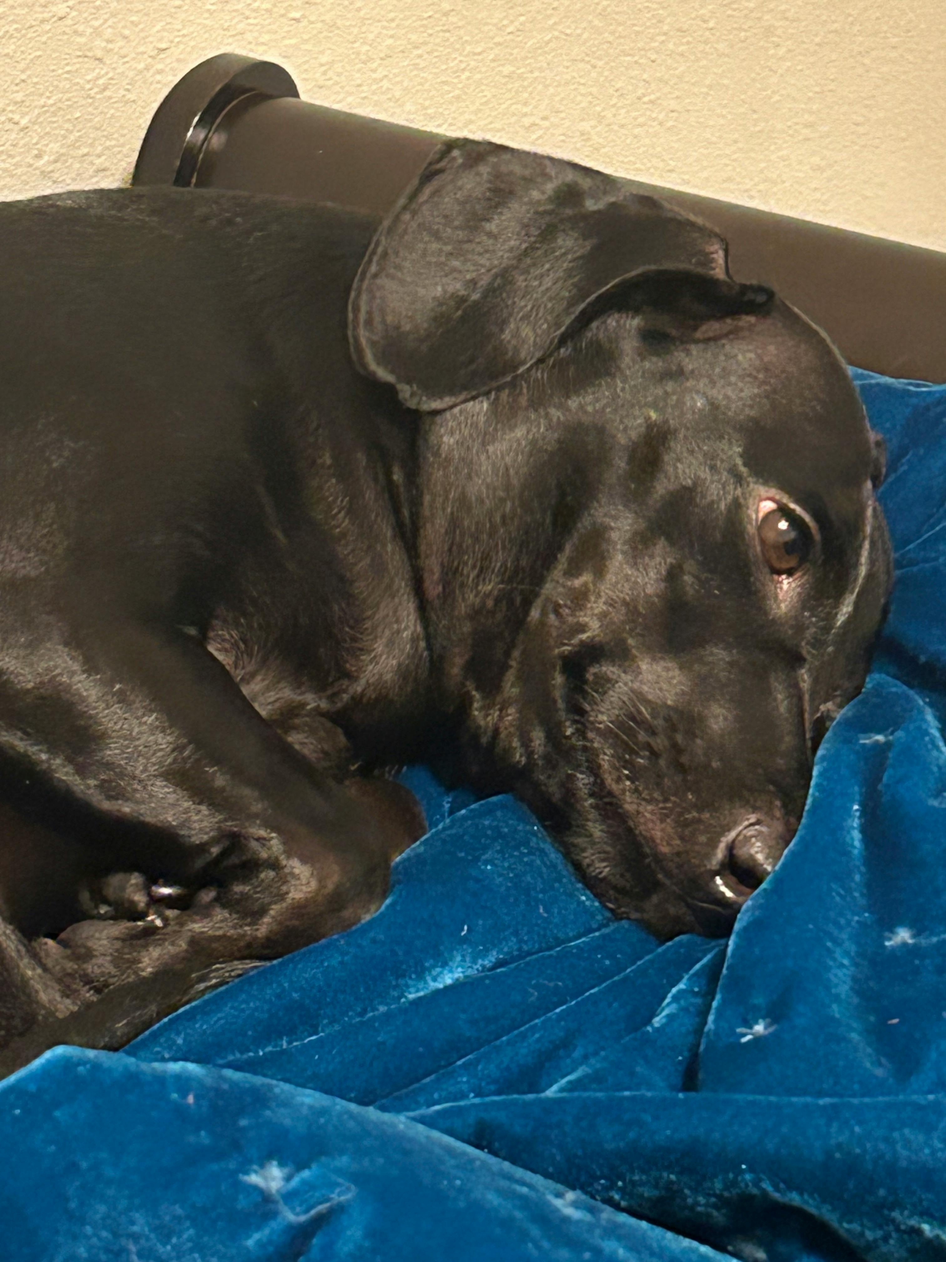 user avatar image for Jessica B