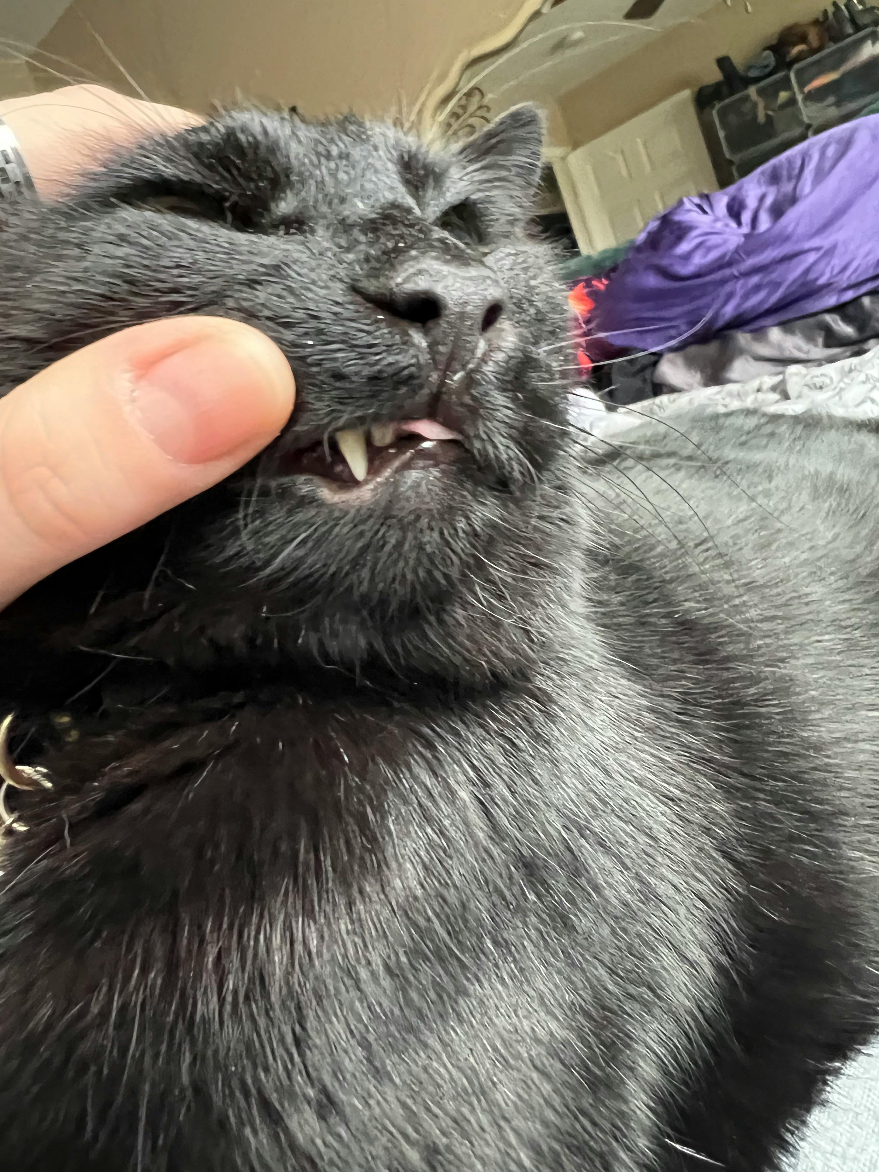 user avatar image for kieranfae