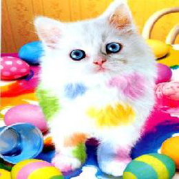 user avatar image for Thierry_Var