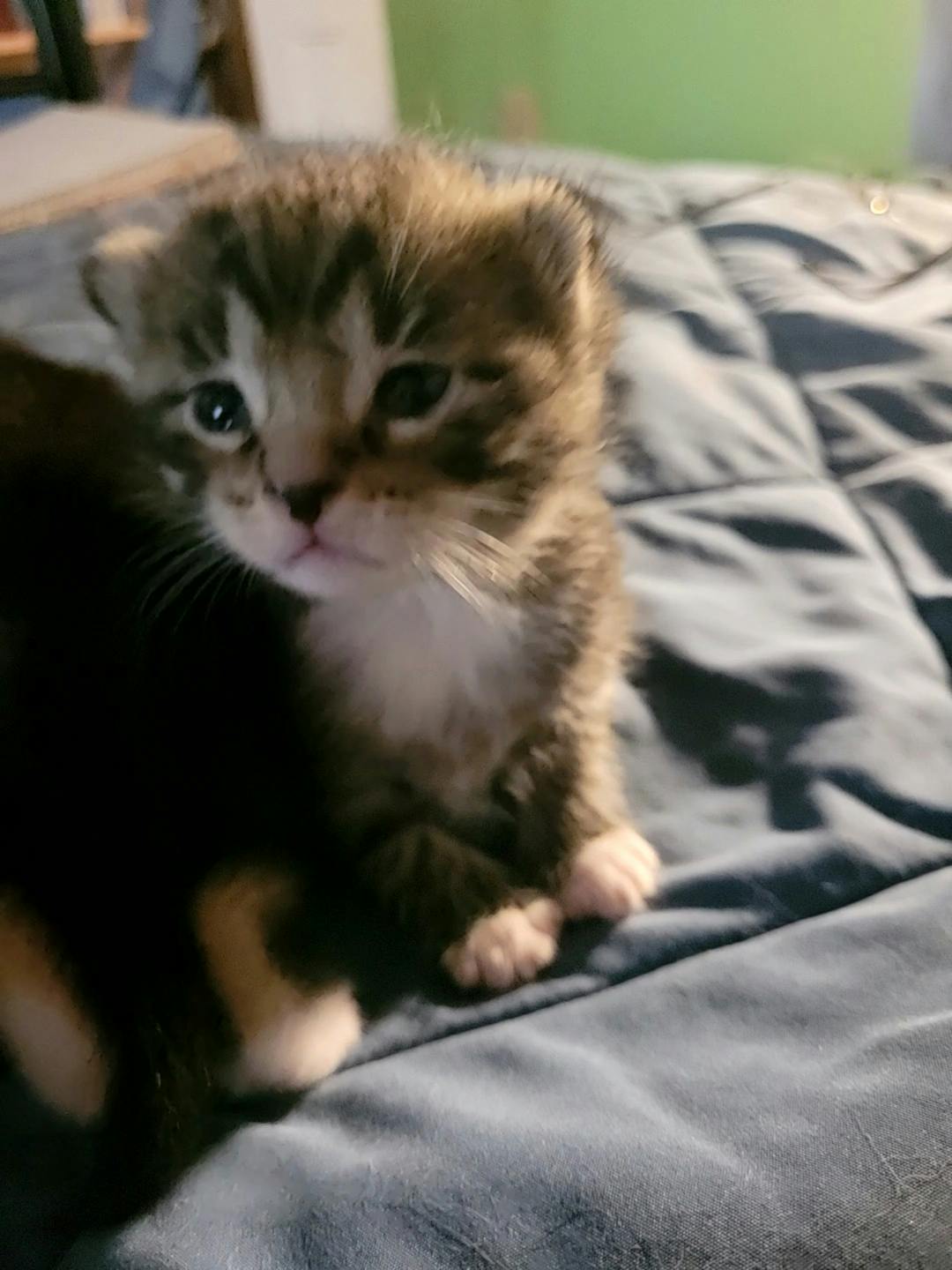 user avatar image for Brian 