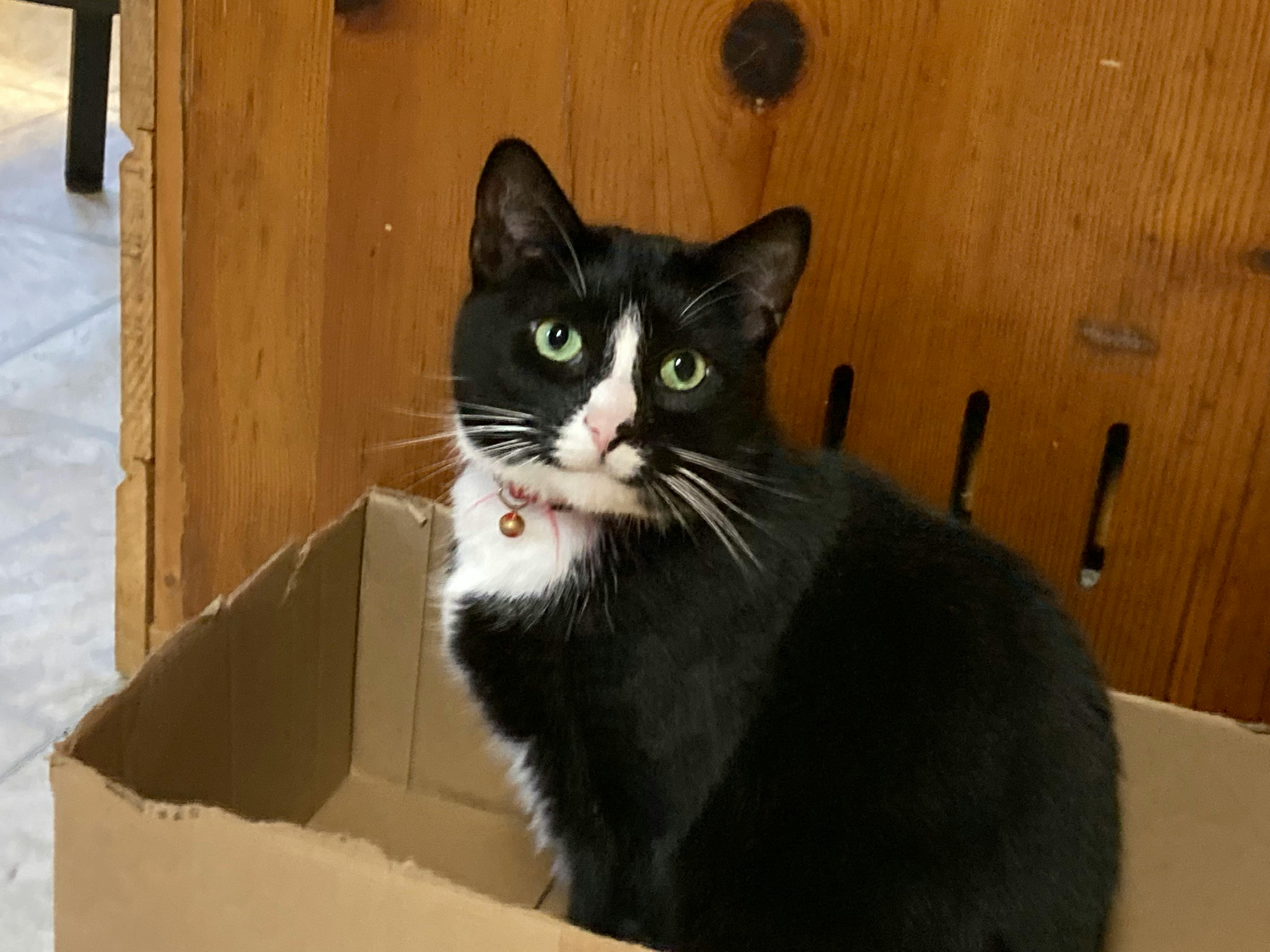 user avatar image for Kyber_Heart