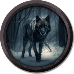 user avatar image for John M McGuinness