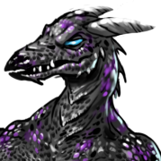 user avatar image for Draknos