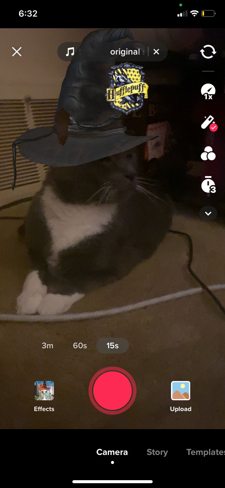 user avatar image for Renee Gallton