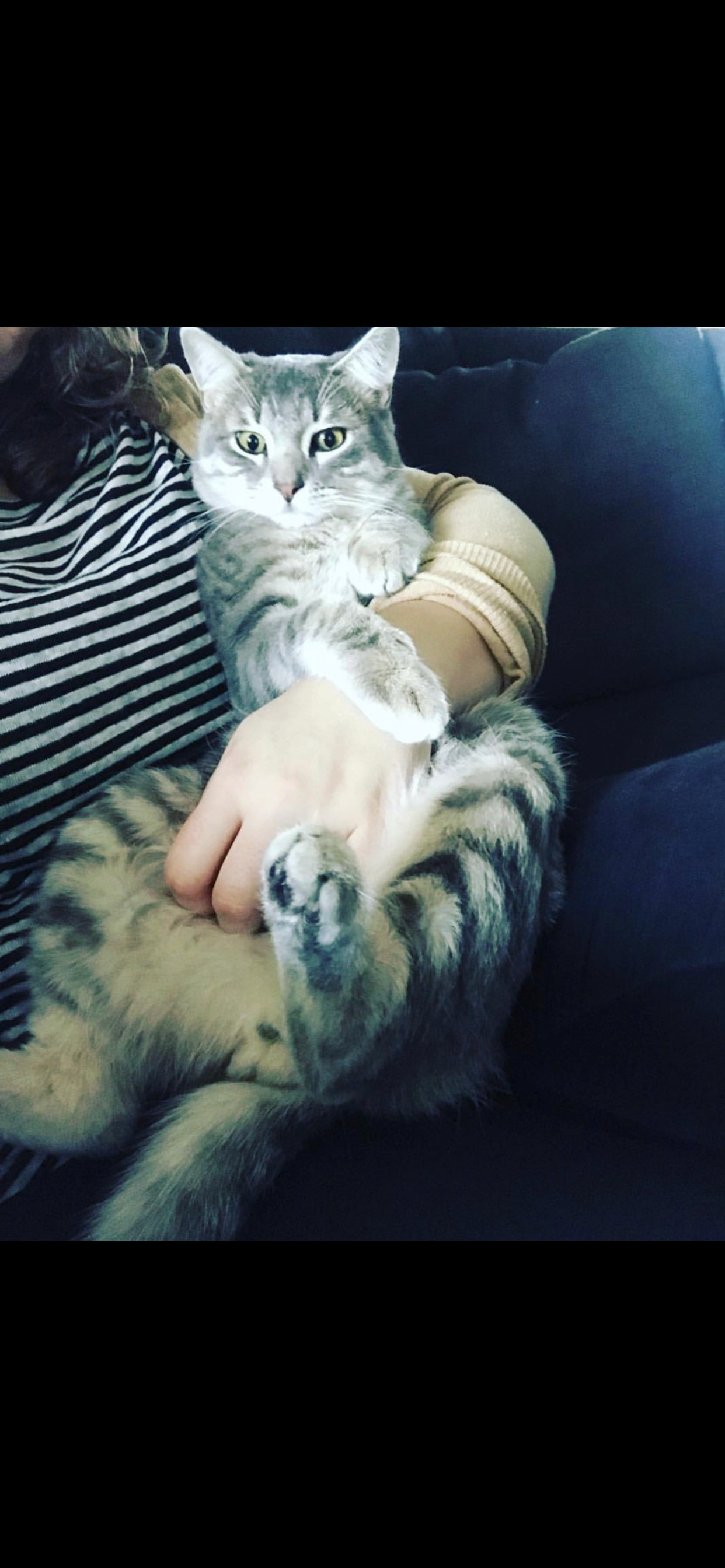 user avatar image for Kenita Evarts