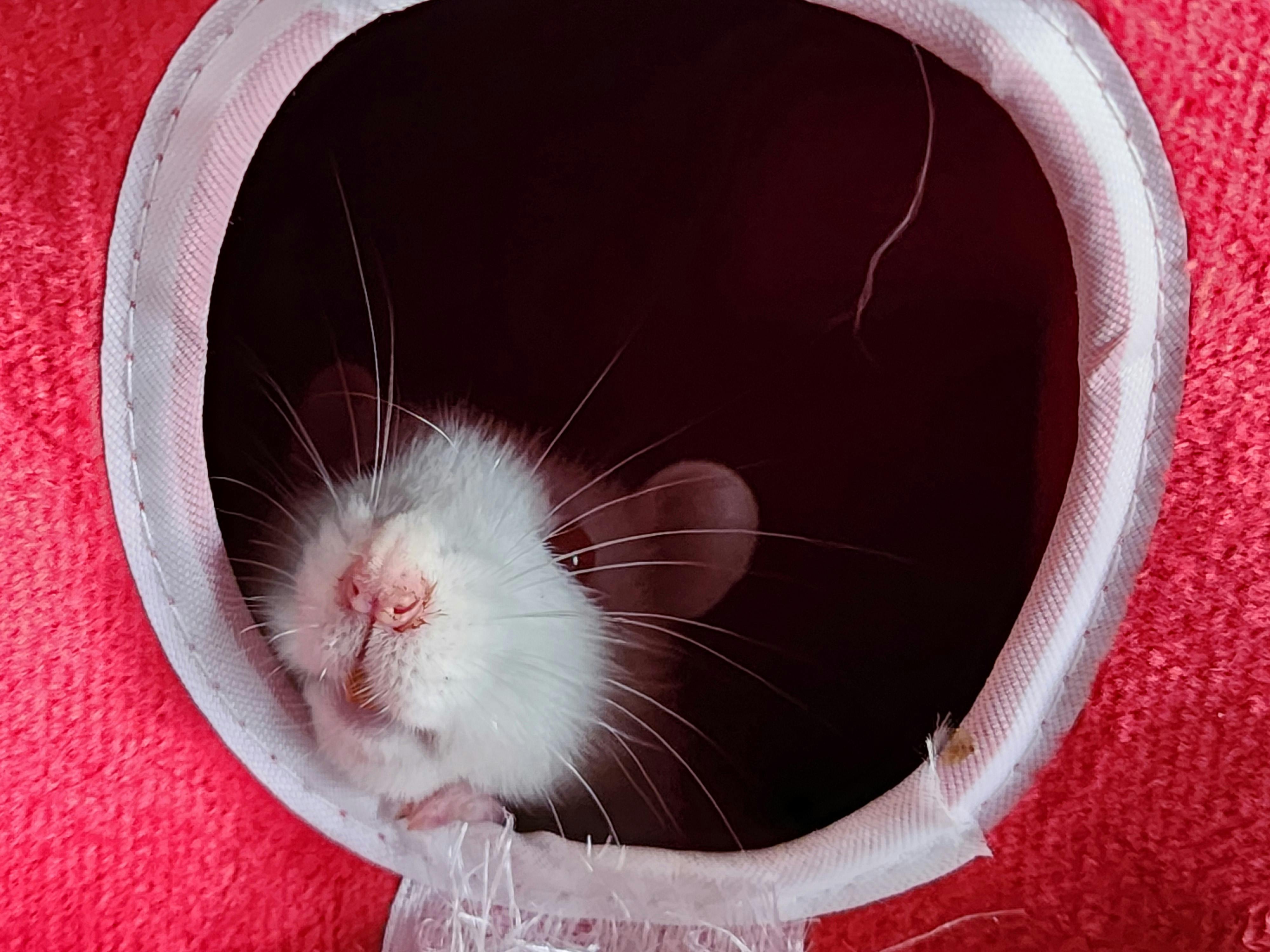 user avatar image for Q