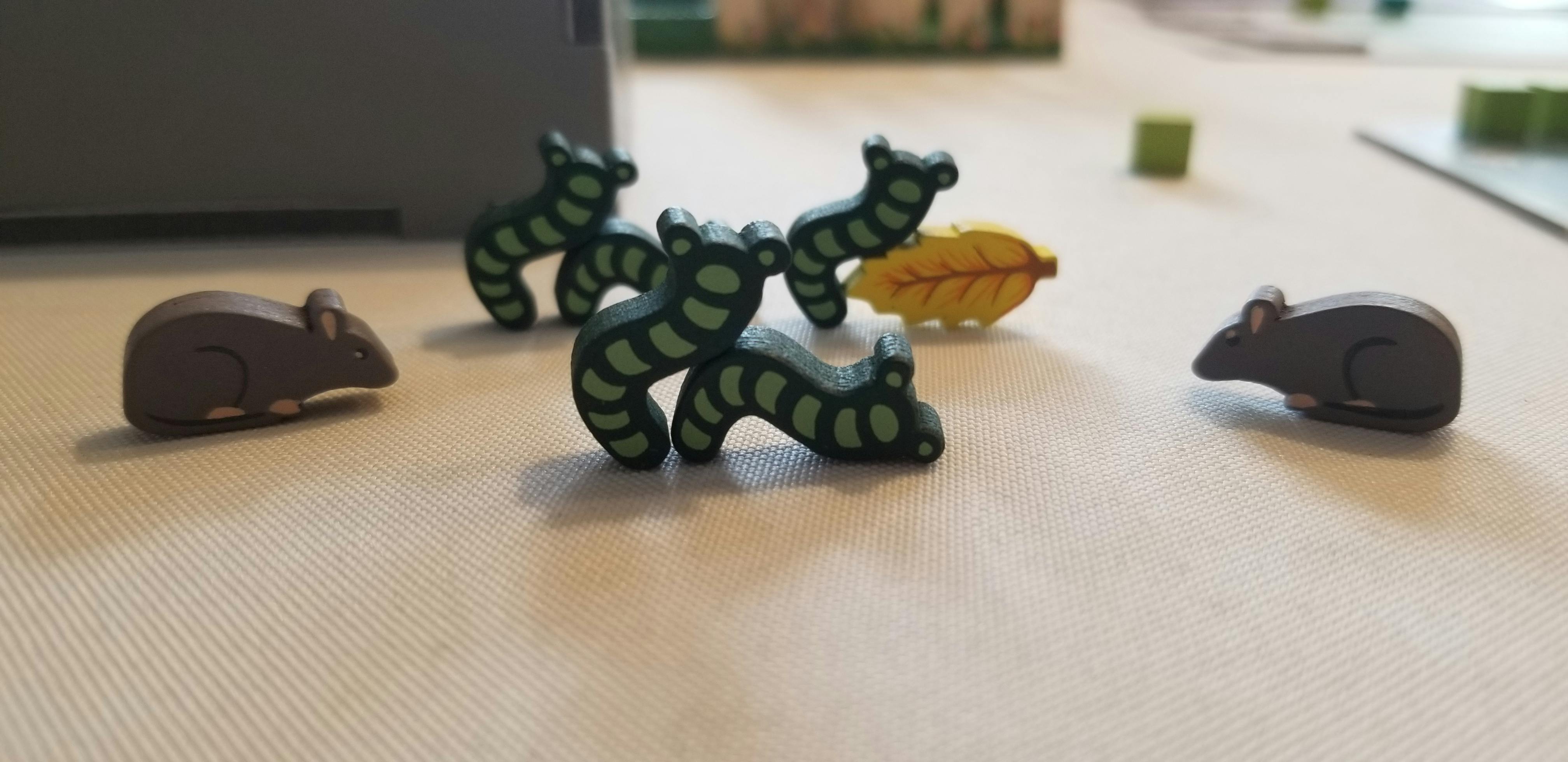 user avatar image for Rusty GingerBear