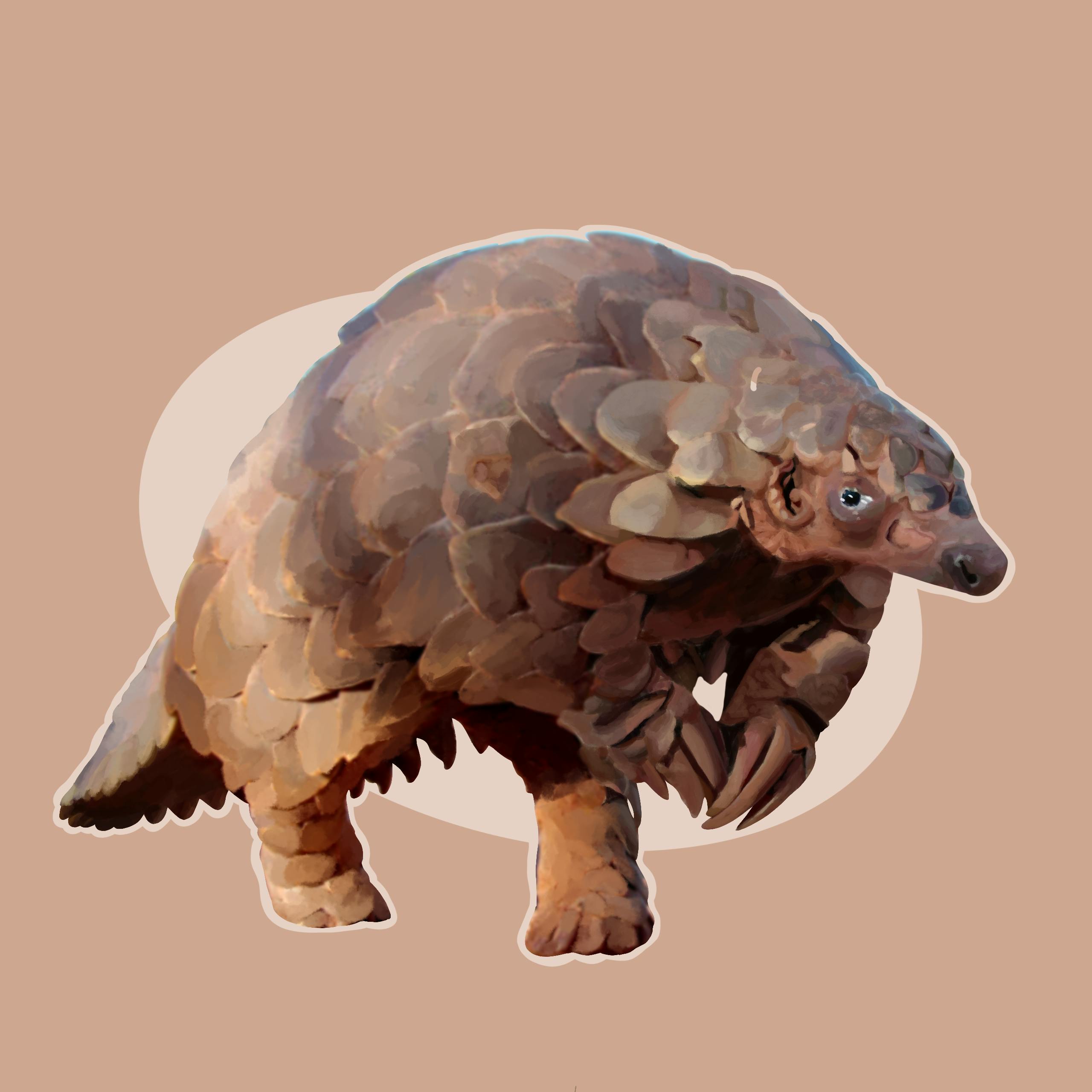 user avatar image for Daniel 