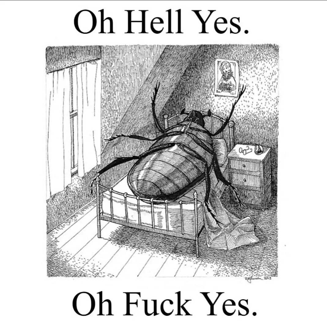 user avatar image for K.