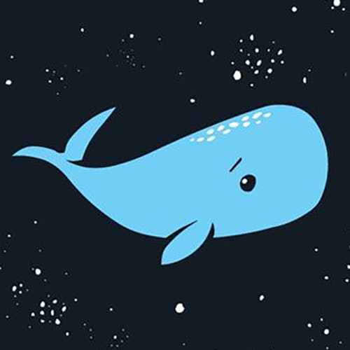 user avatar image for Patrick B.