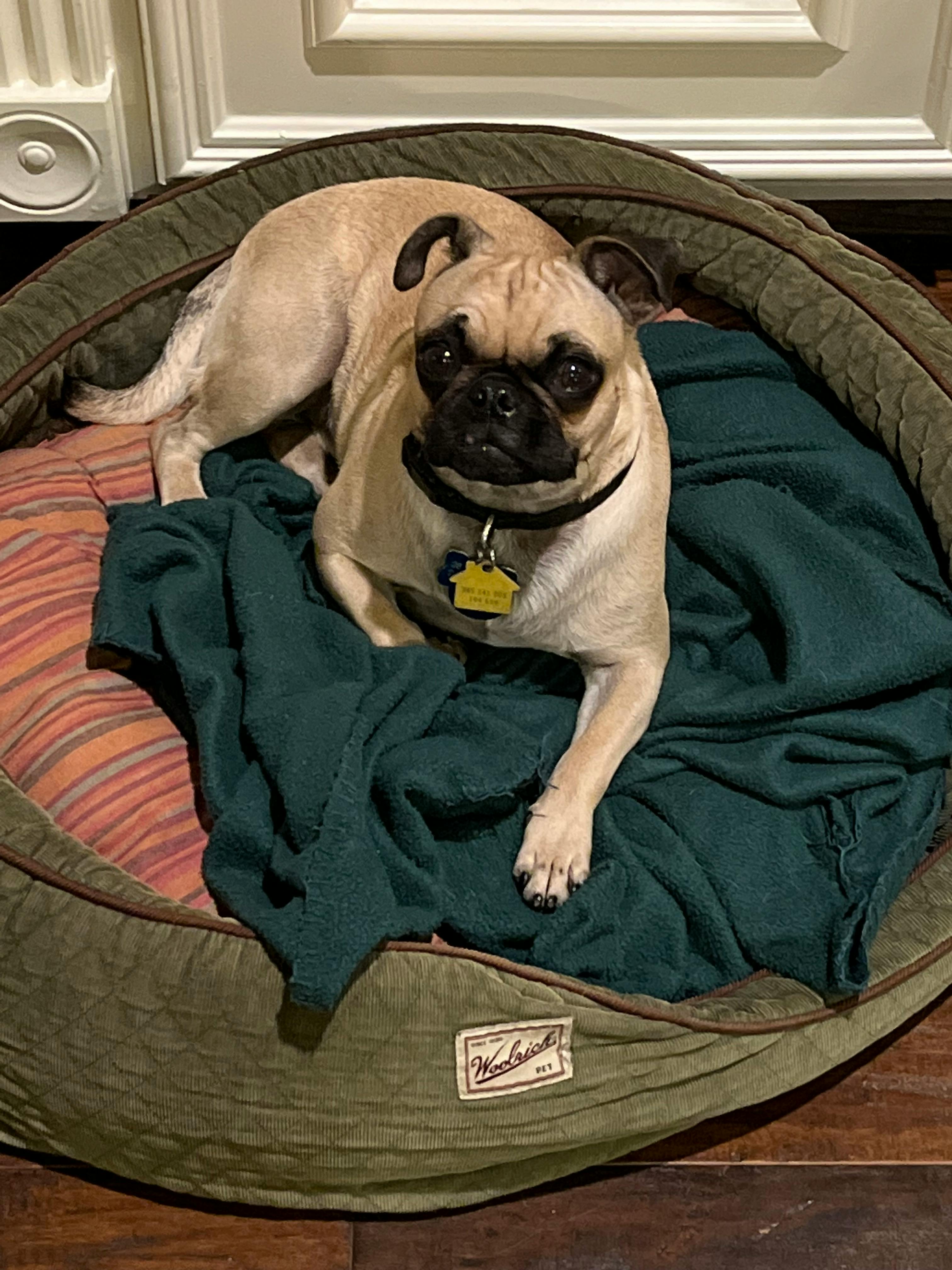 user avatar image for Tony4095