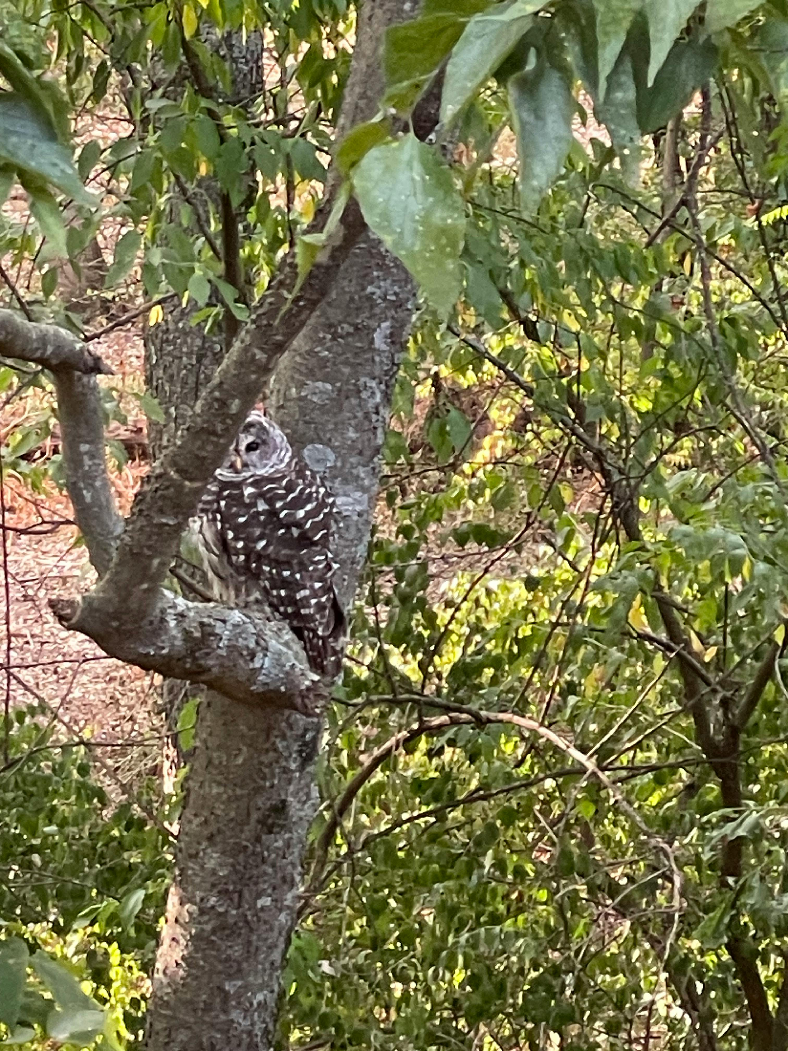 user avatar image for Kelley 