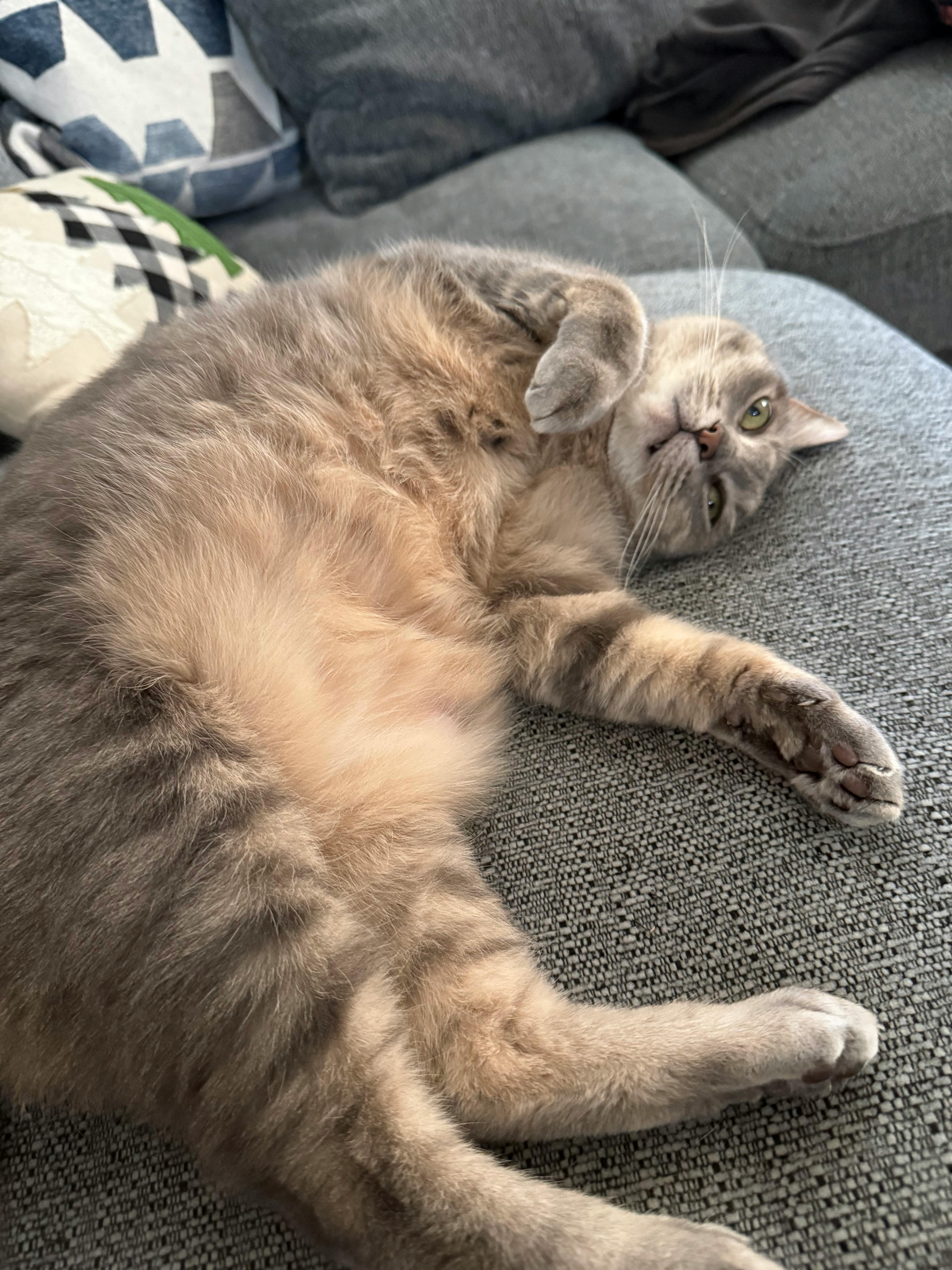 user avatar image for Elizabeth Odom