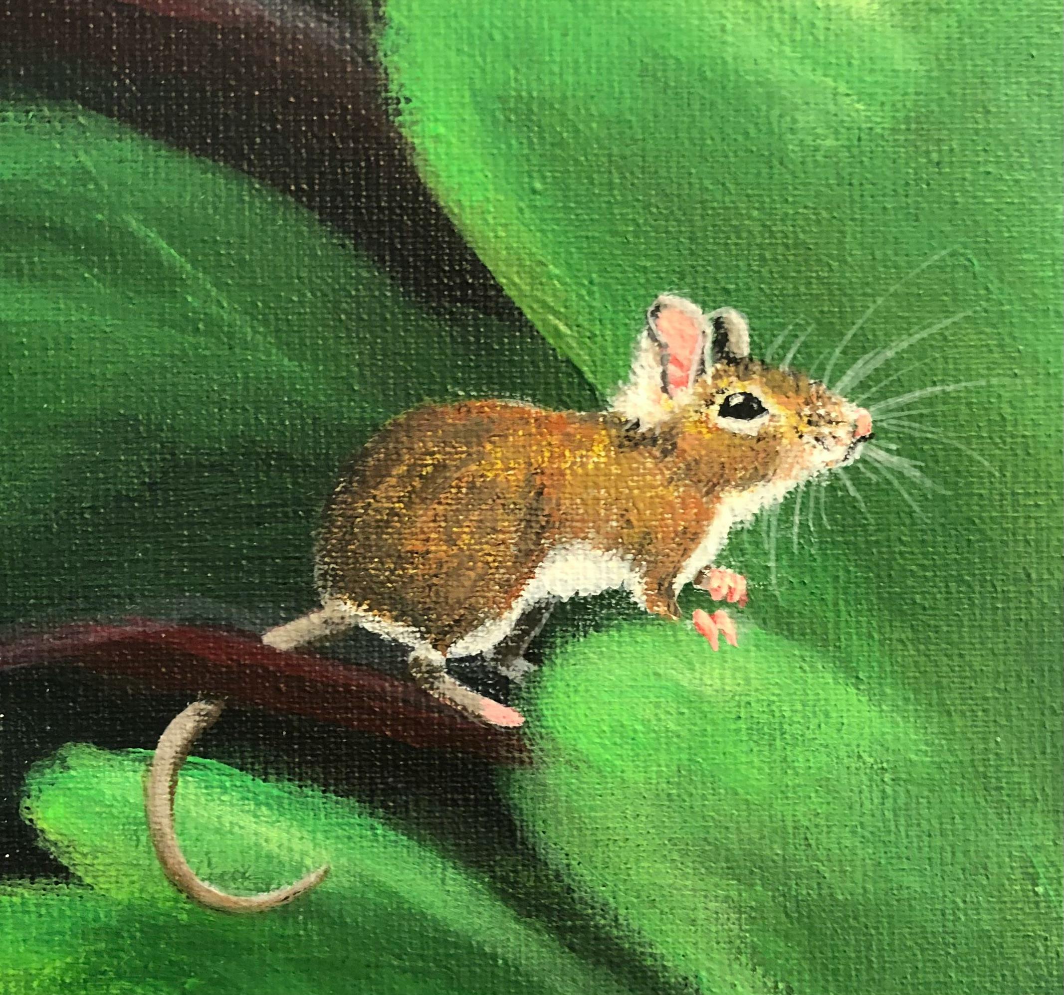 user avatar image for Ydirre