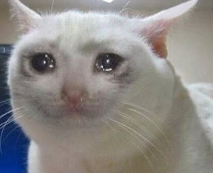 user avatar image for Reu Avella II