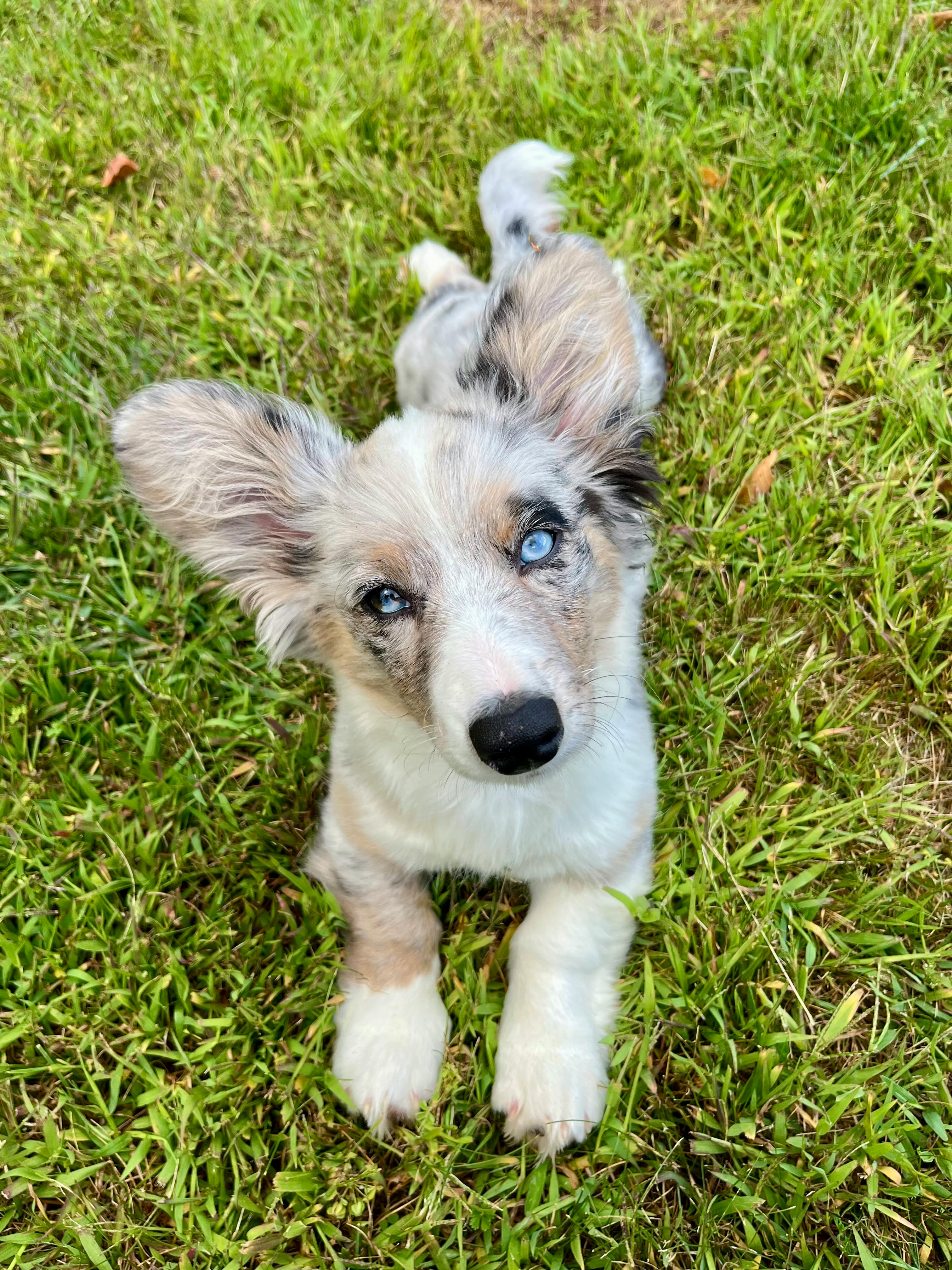 user avatar image for Terri Dinger