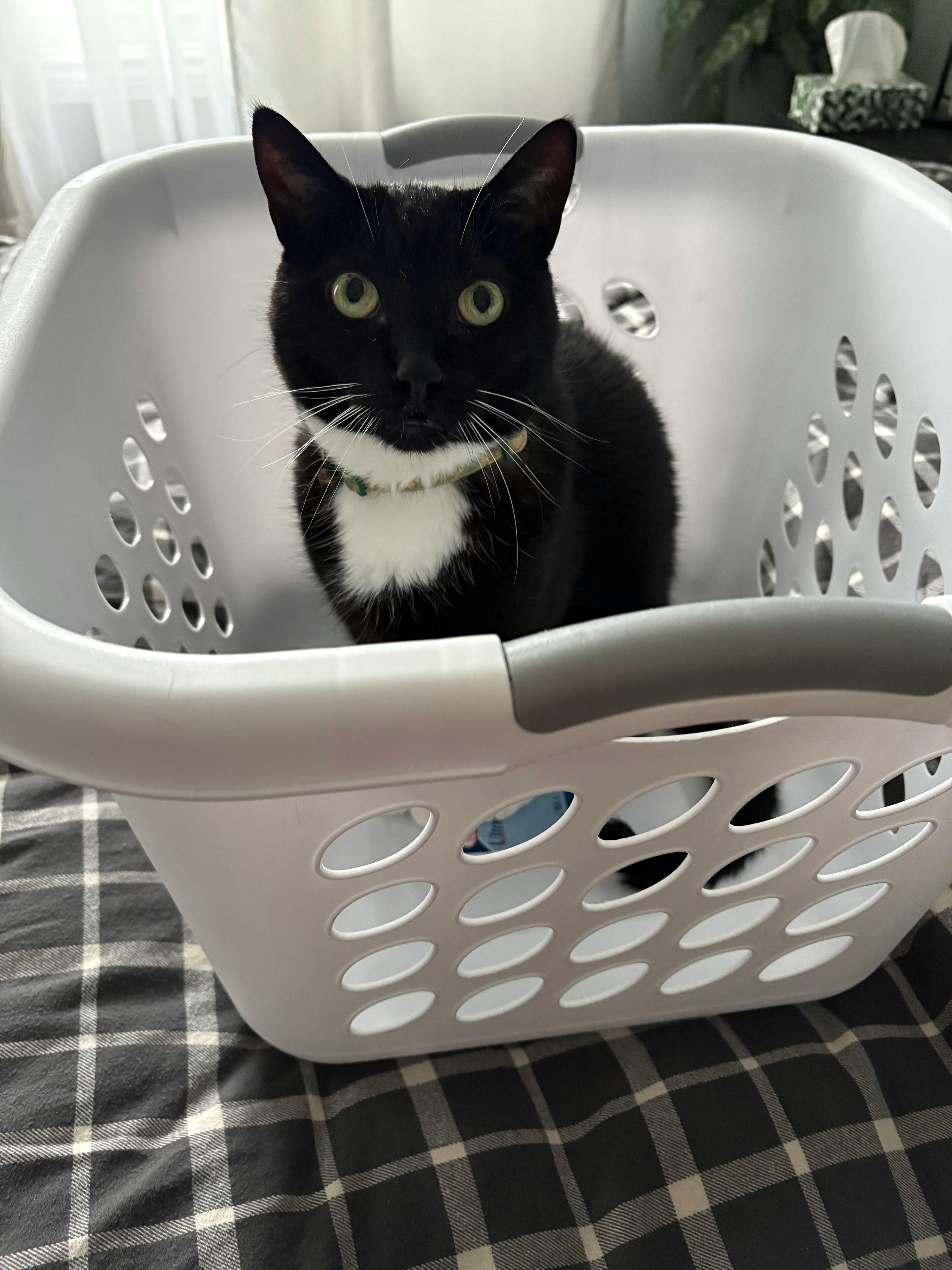 user avatar image for Sarah