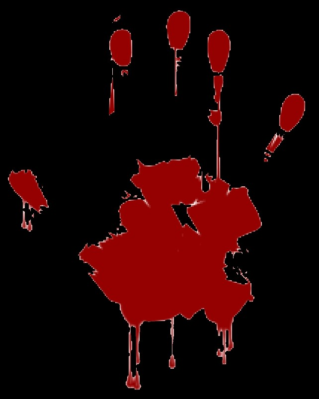 user avatar image for Zenekar