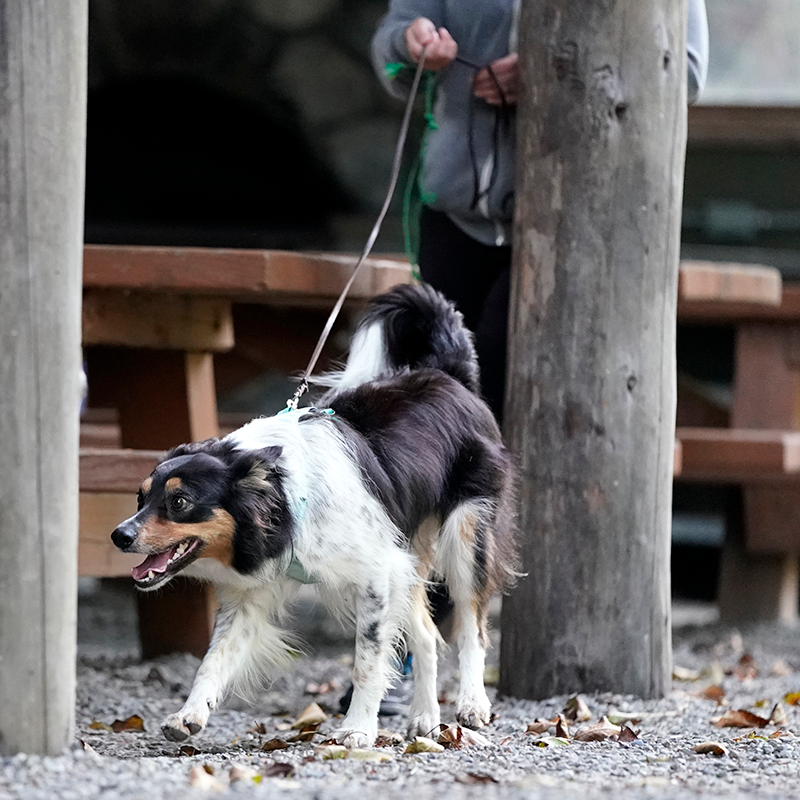 user avatar image for Sara Erickson